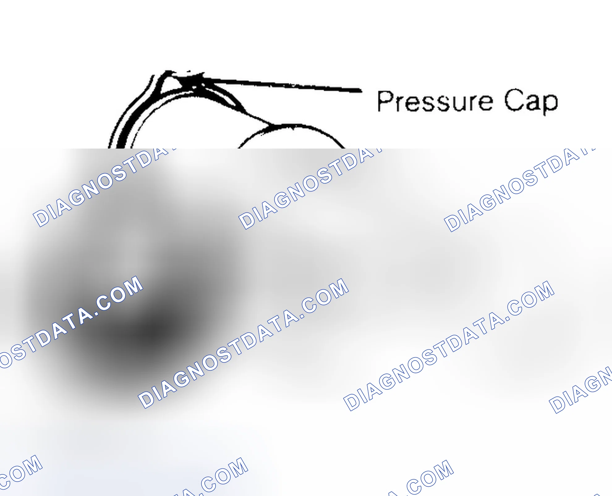 Scheme 2: Pressure Testing Radiator Cap