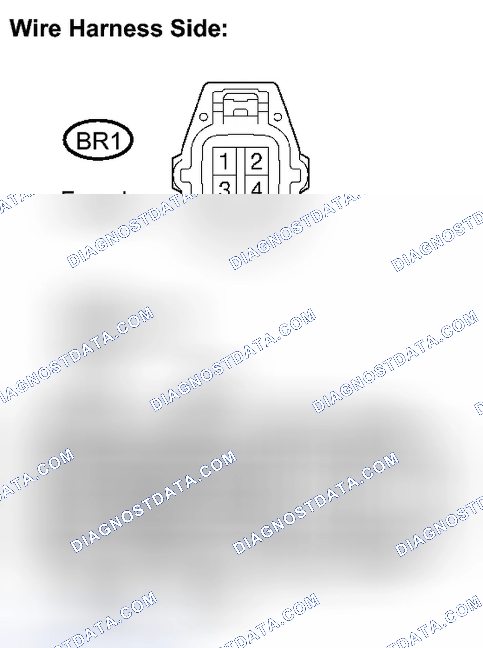 Scheme 507