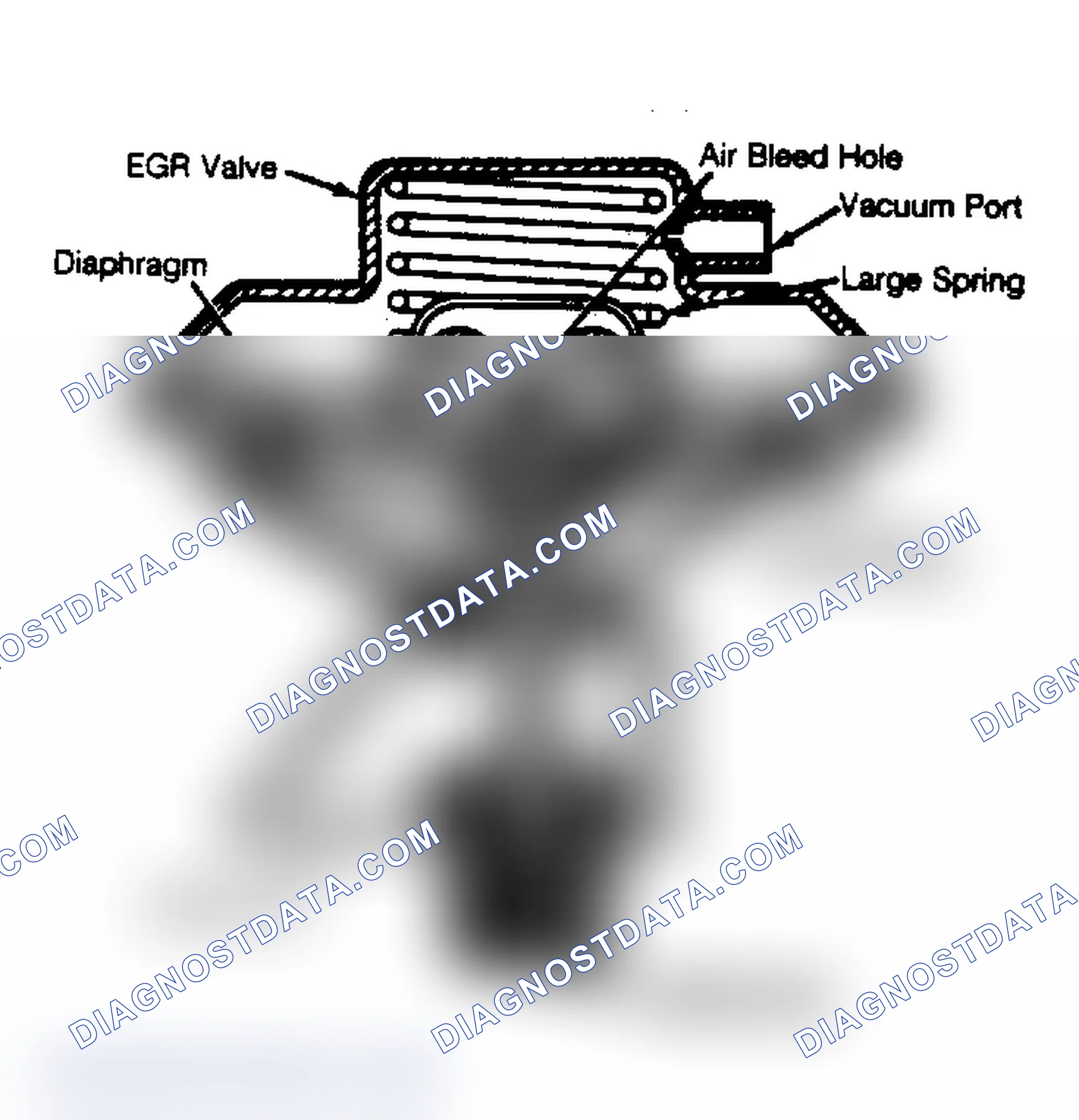Scheme 80: Cutaway View of Negative Backpressure EGR Valve