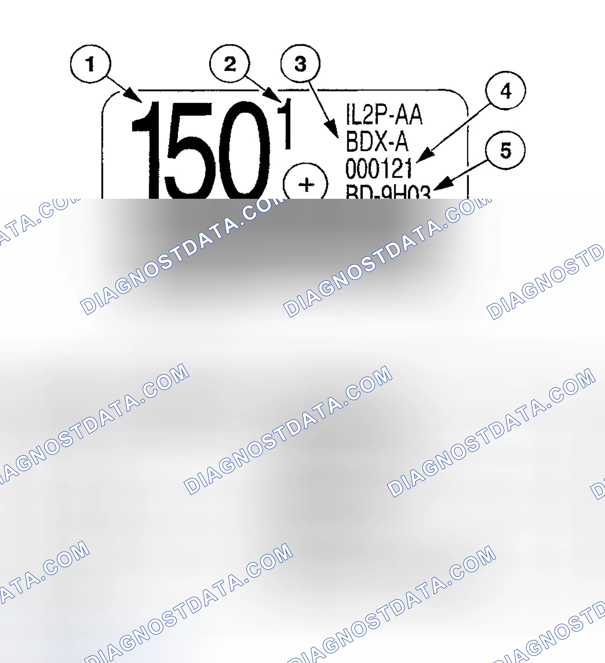 Scheme 79: IDENTIFICATION TAGS