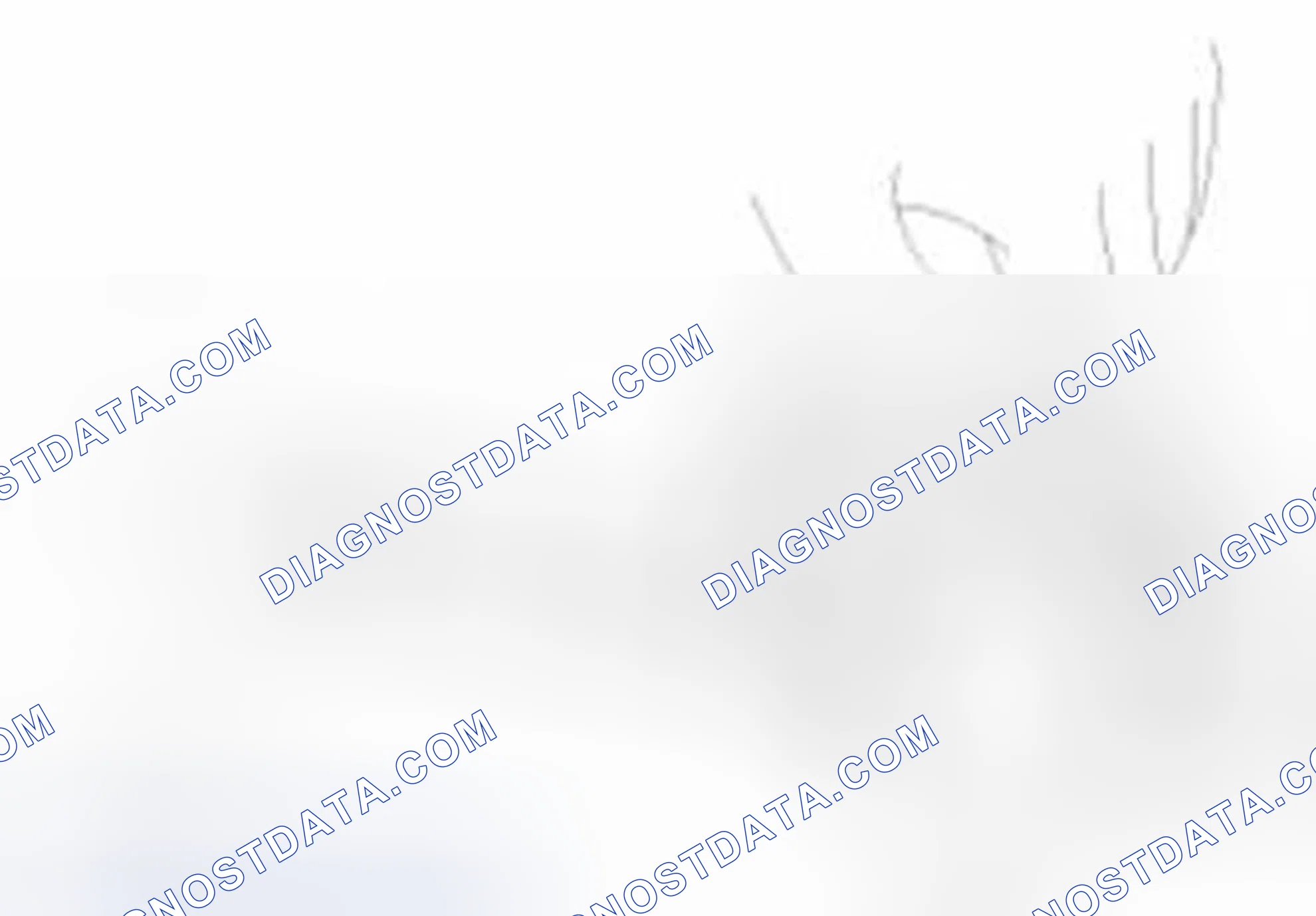 Scheme 447: Camshaft