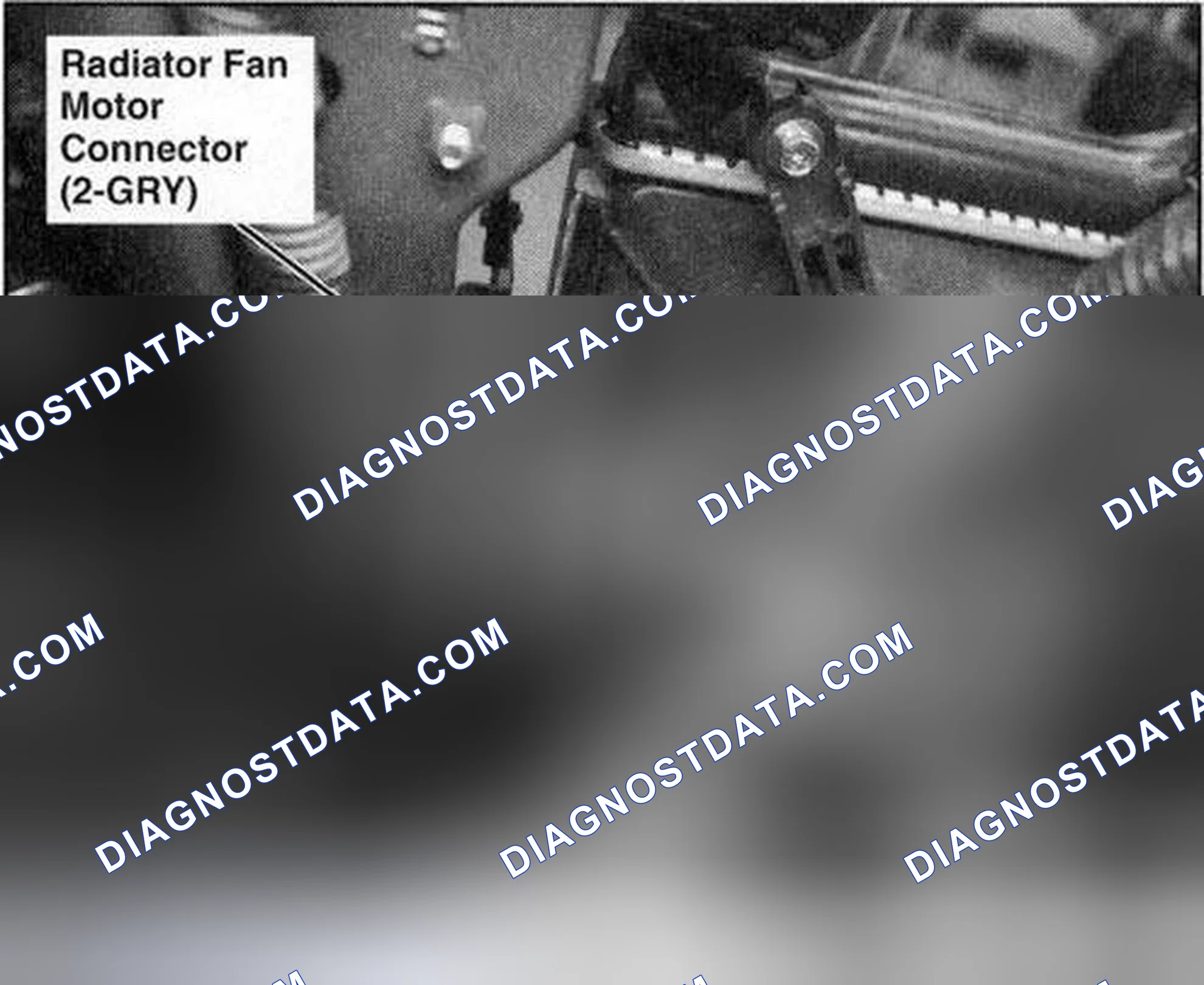Scheme 5