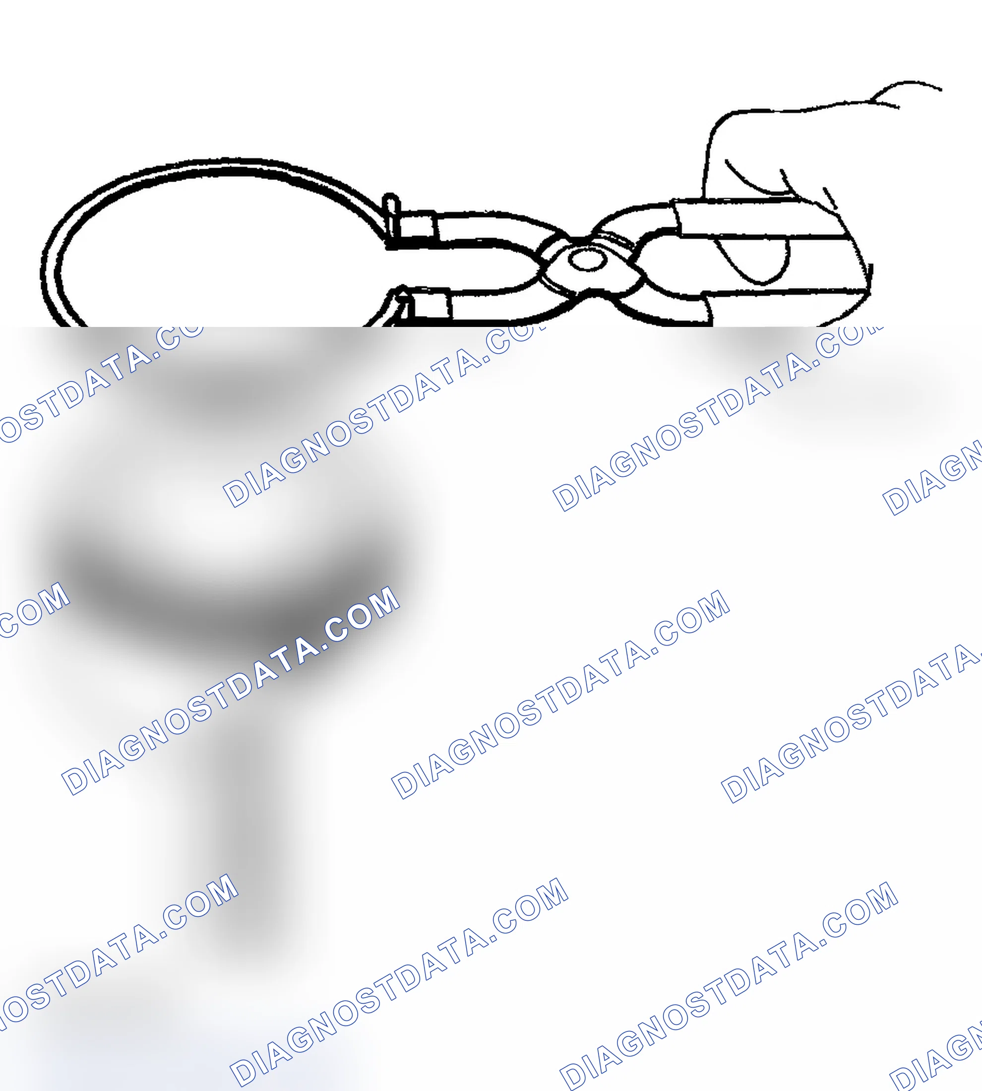 Scheme 554