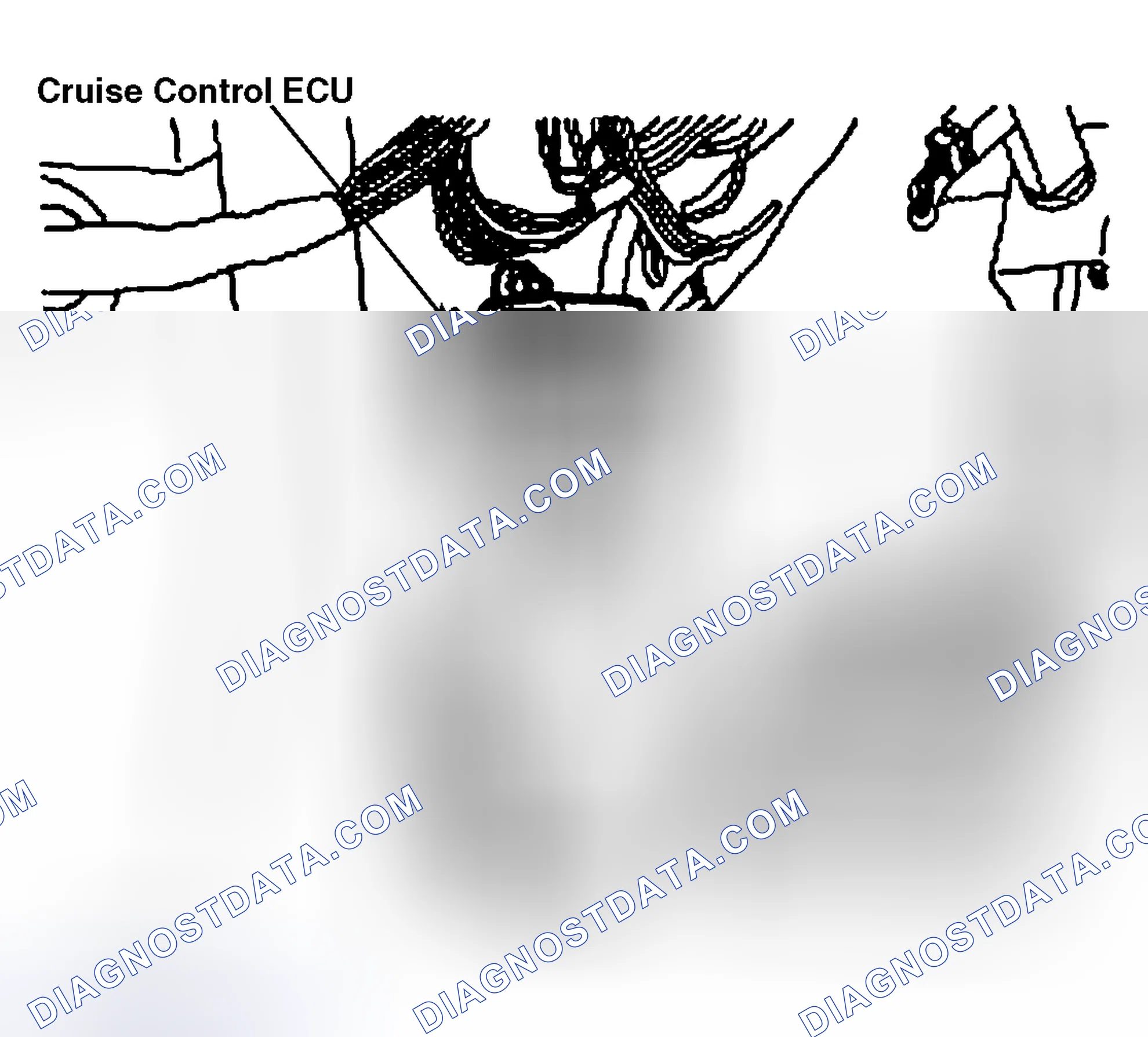Scheme 80: CRUISE CONTROL ECU