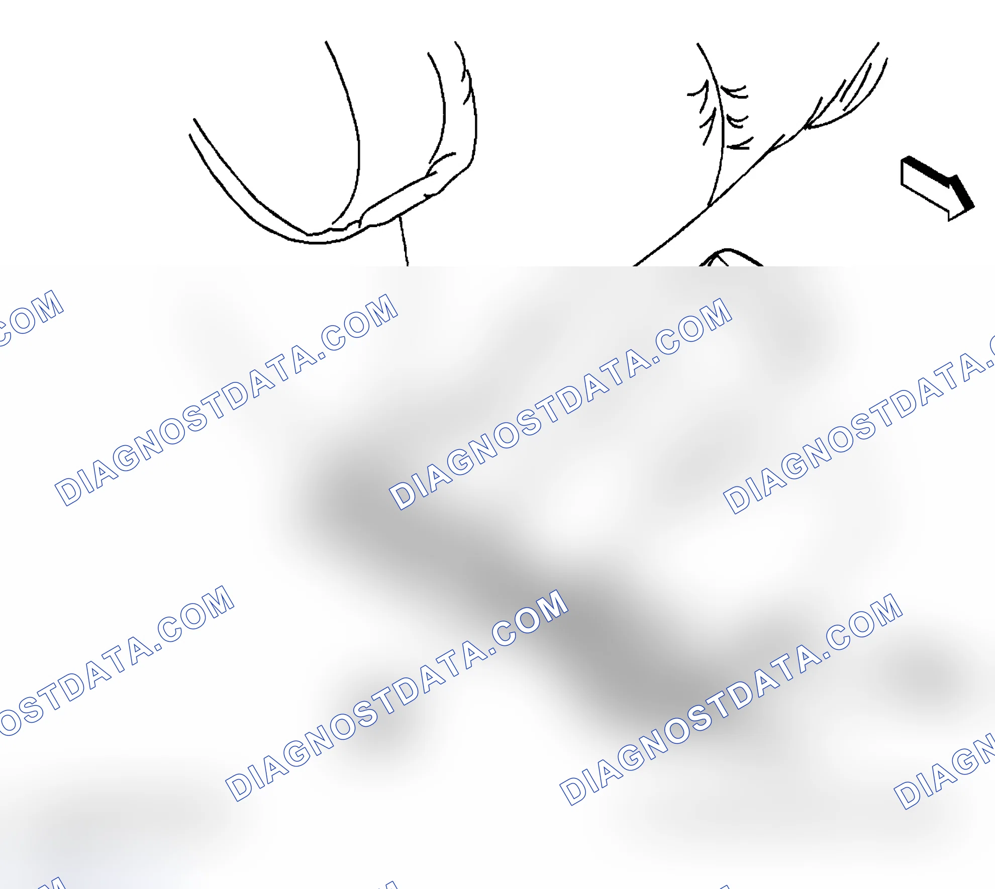 Scheme 2: Seat Belt Component Views