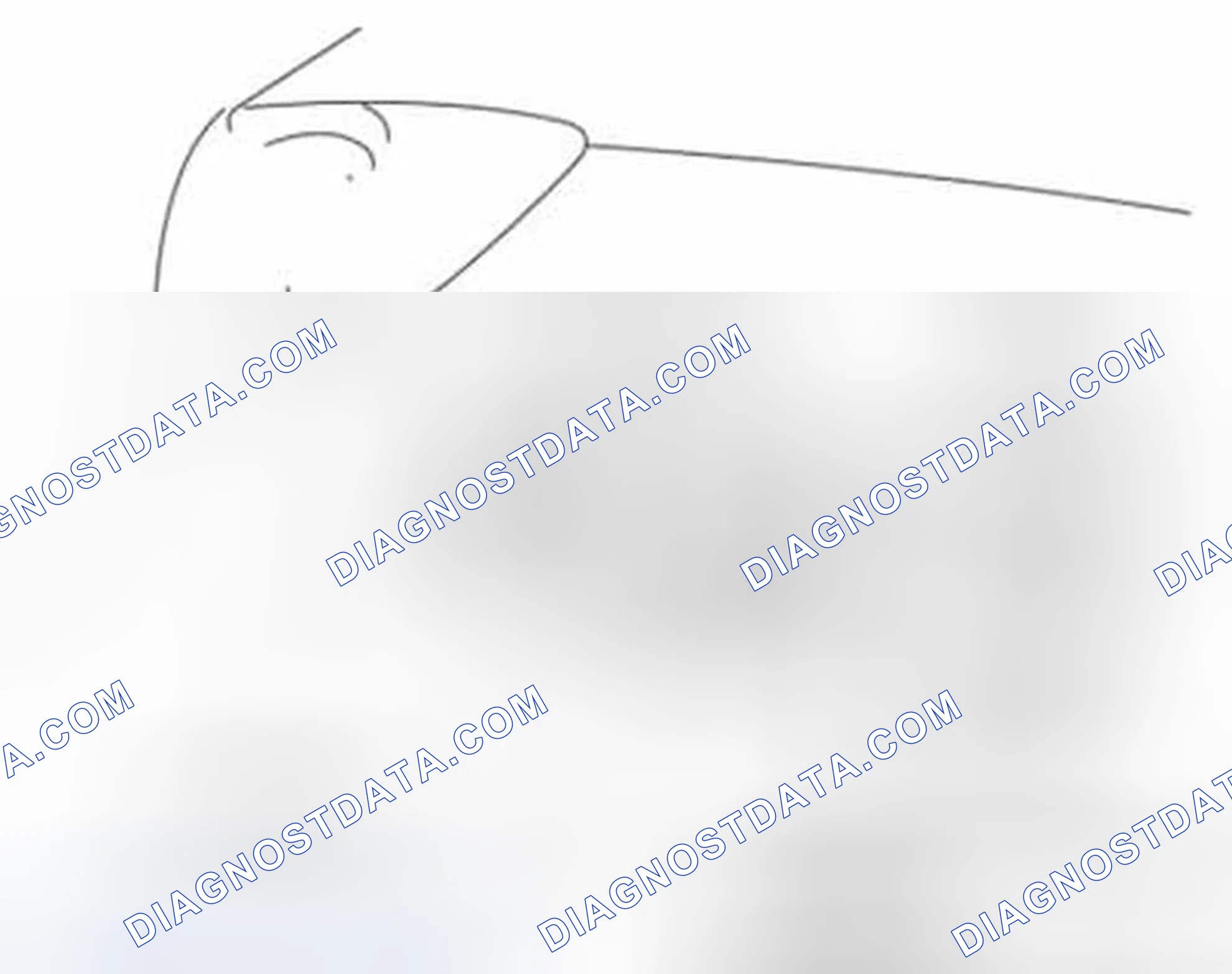 Scheme 59: Hatchback