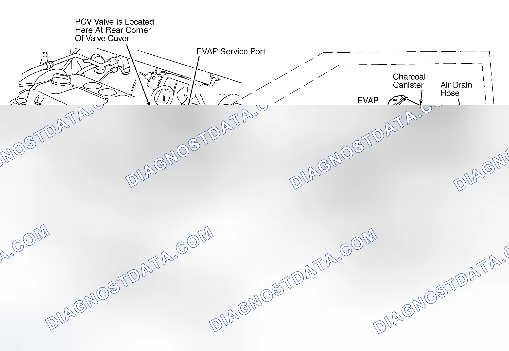 Scheme 245