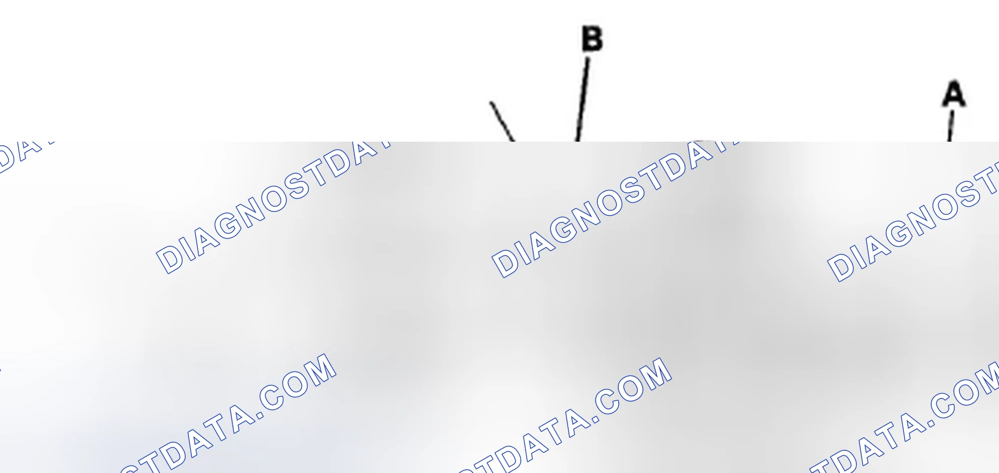 Scheme 2: Radiator Cap Test