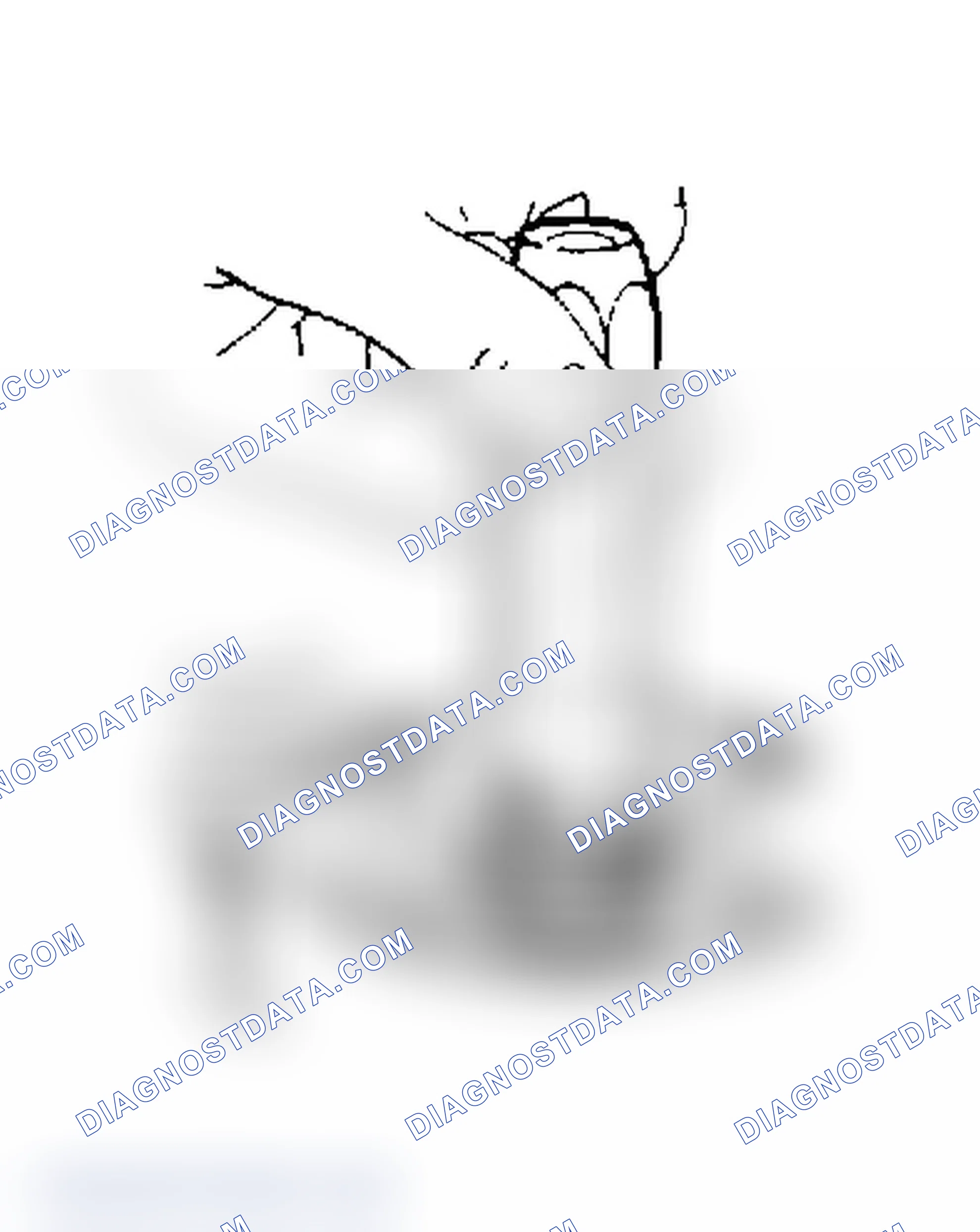 Scheme 8: Installing Shaft Seal