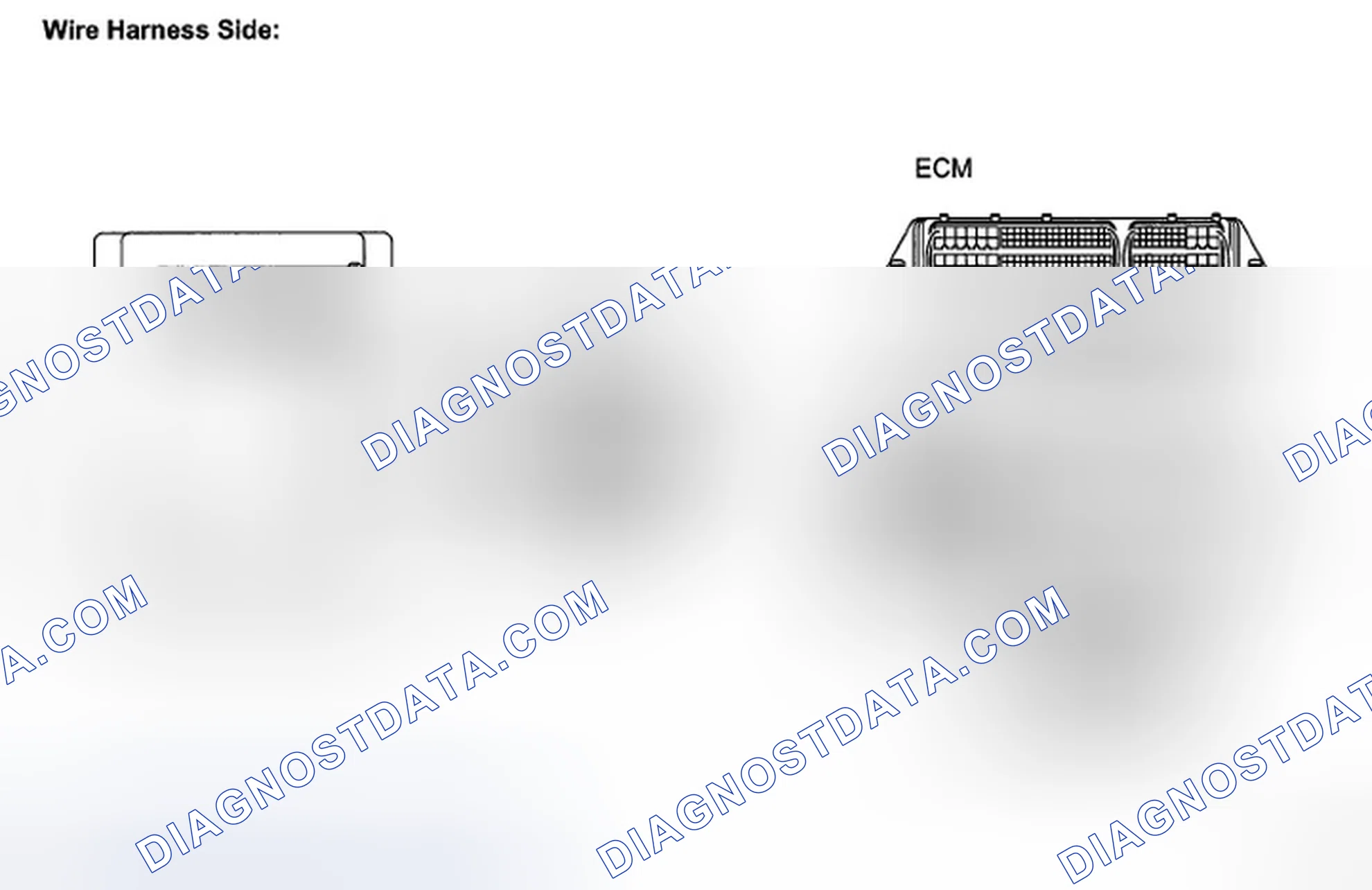 Scheme 23: INSPECTION PROCEDURE