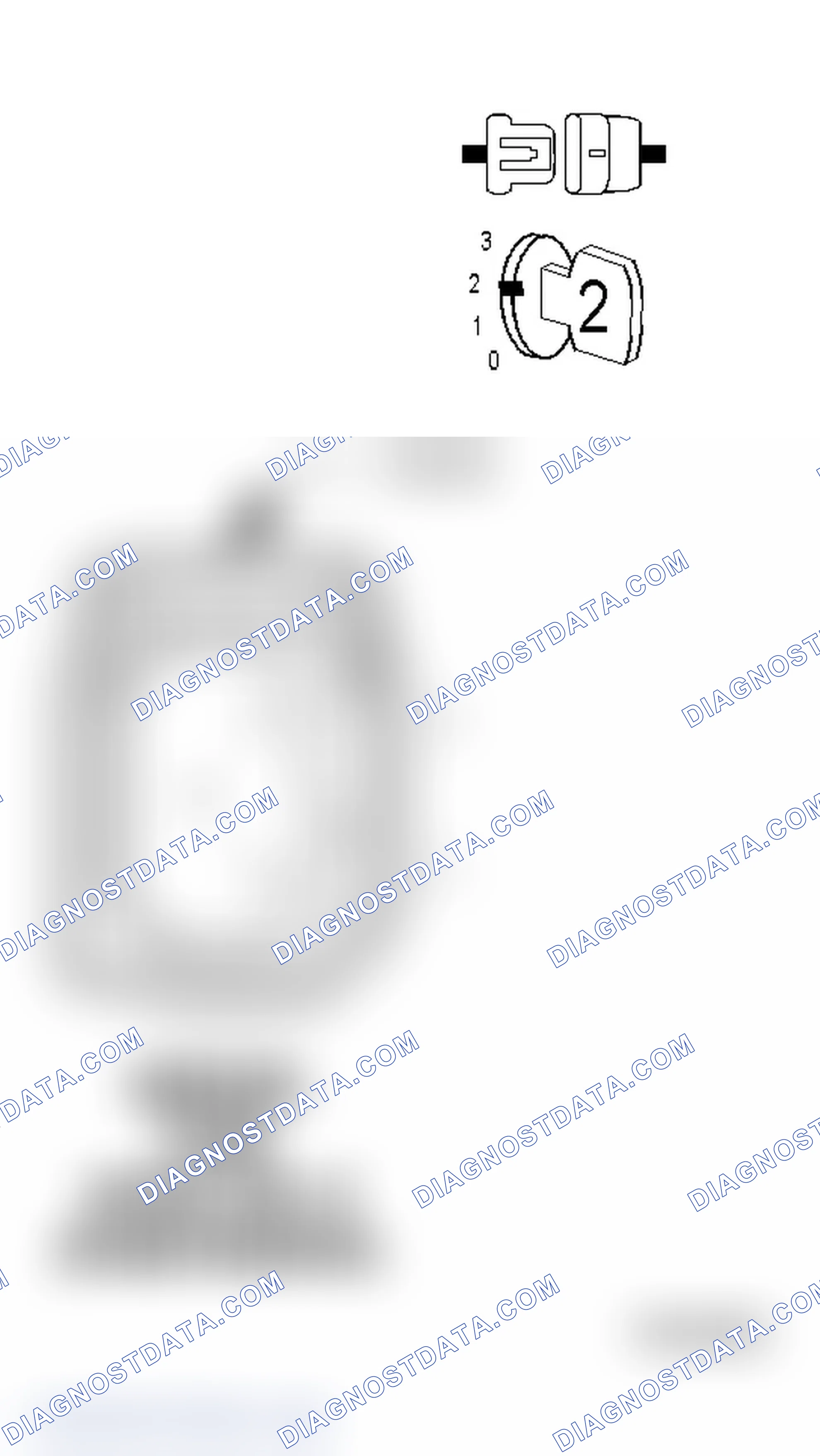 Scheme 12: Diagnostic Test
