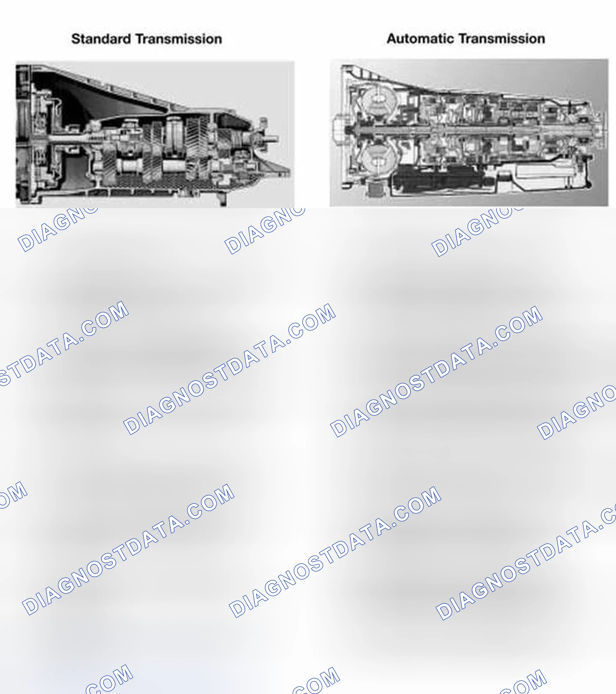 Scheme 6: STANDARD/AUTOMATIC TRANSMISSION