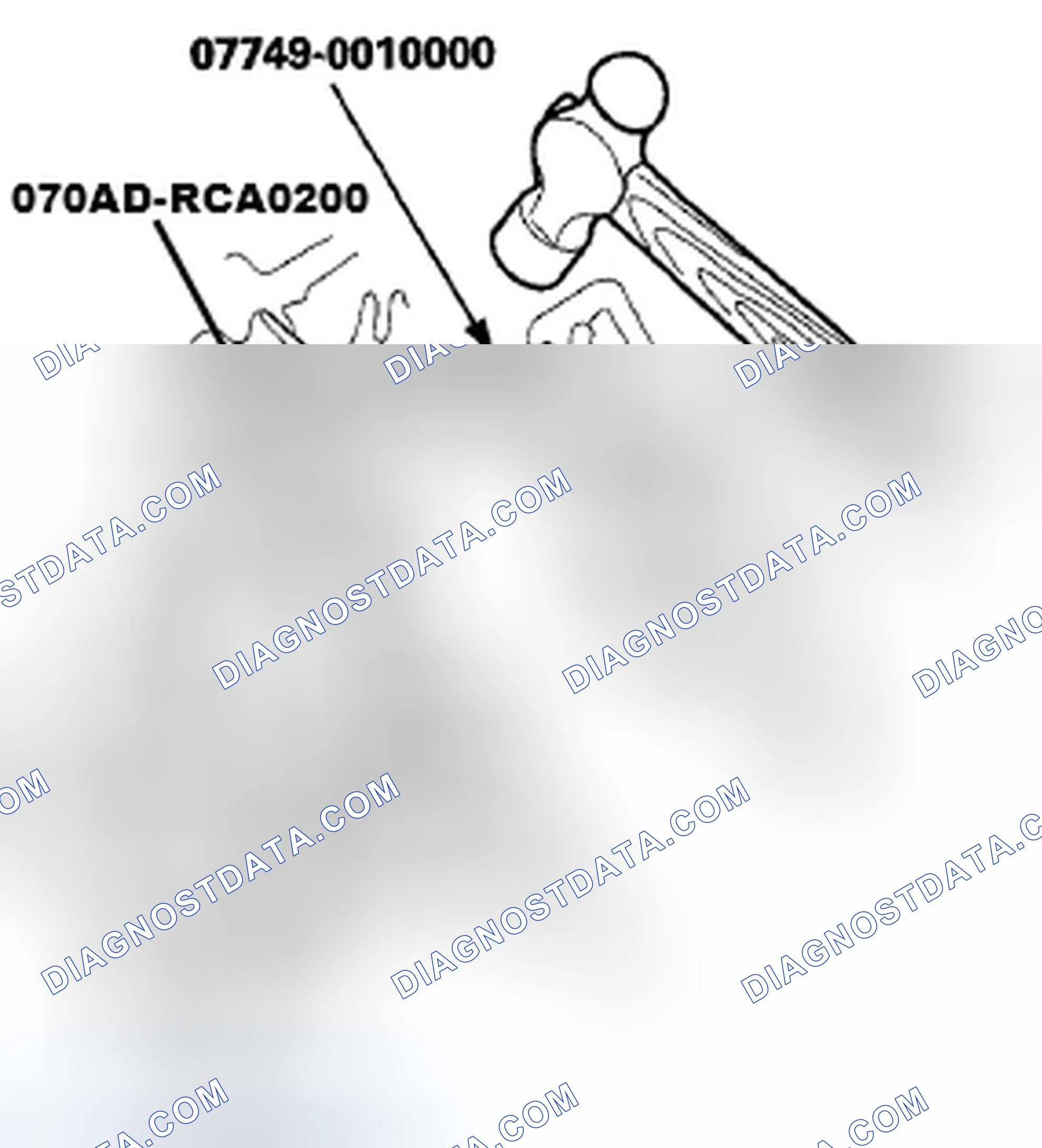 Scheme 335