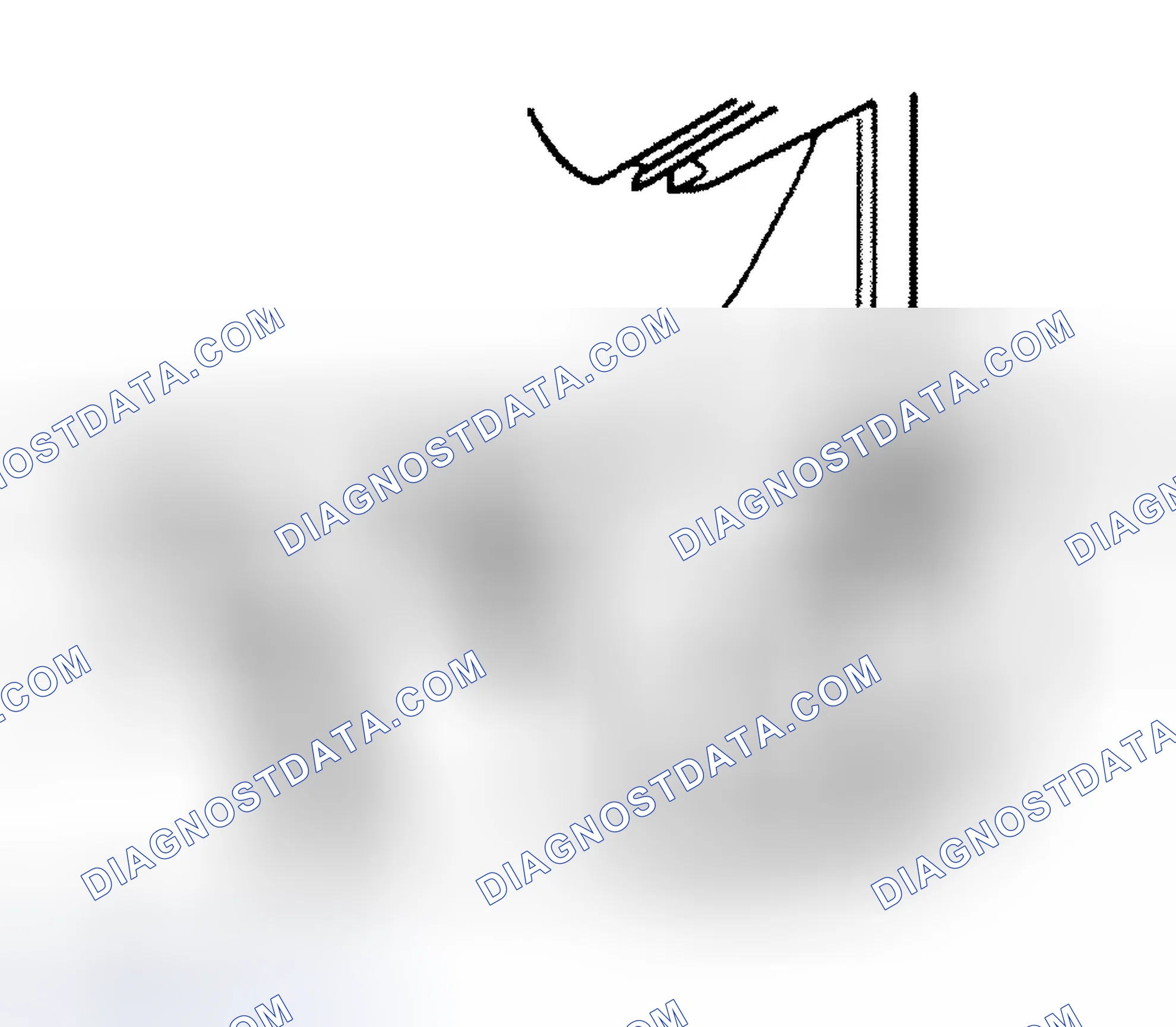 Scheme 5