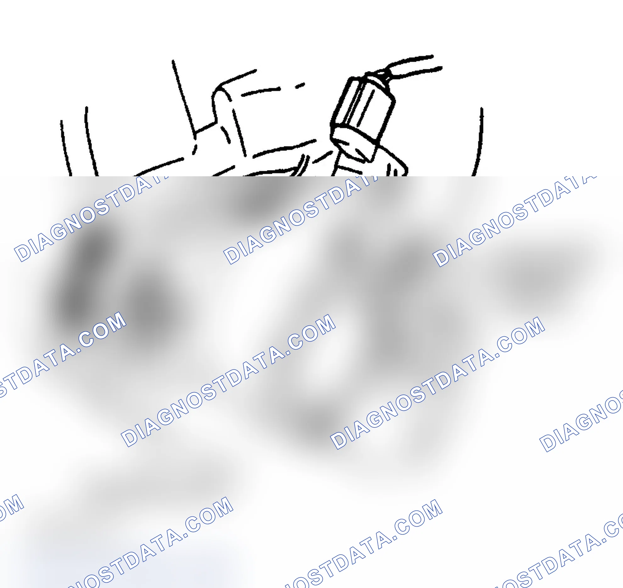 Scheme 9: Adjusting Ignition Timing (Vitara)
