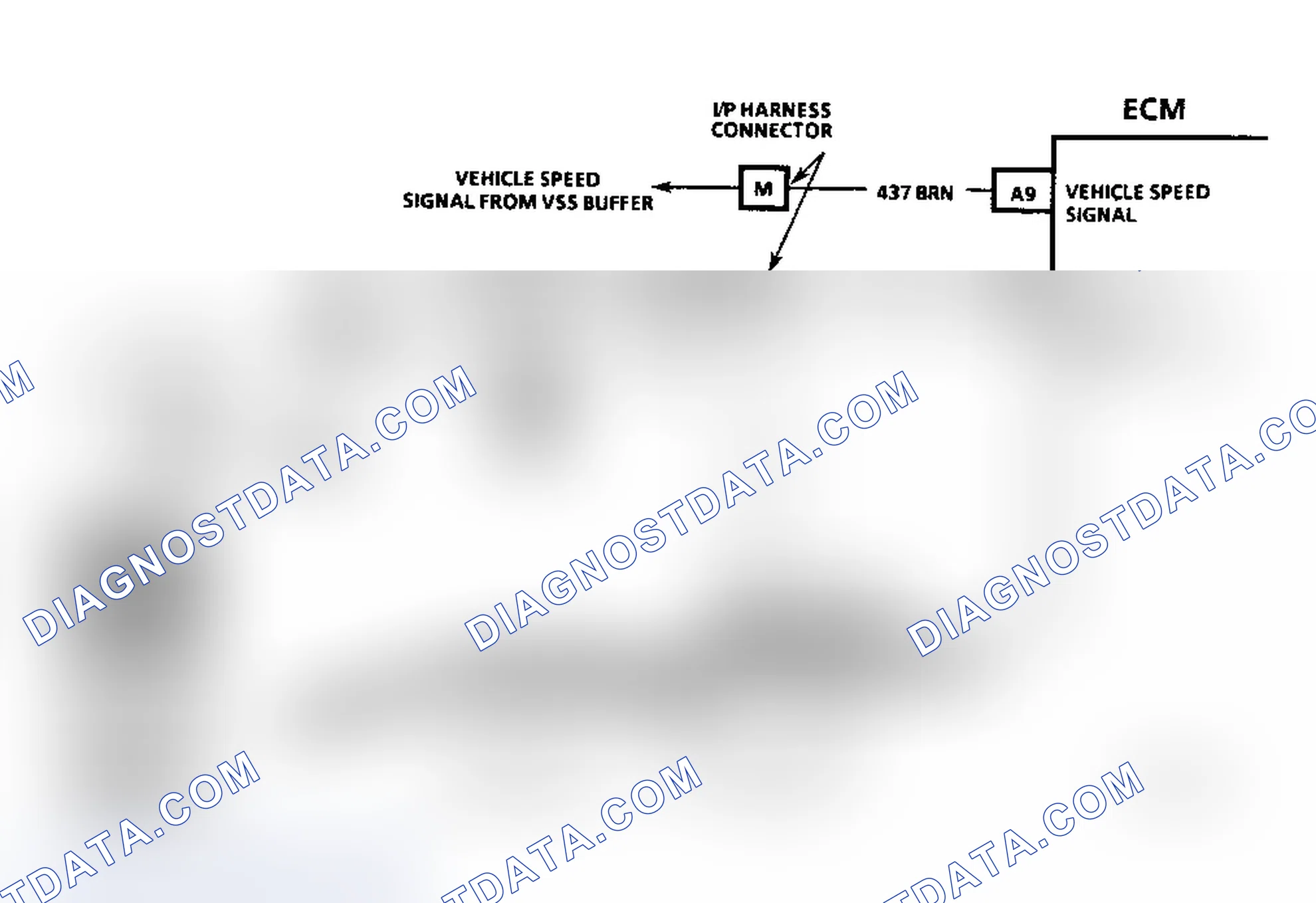 Scheme 316