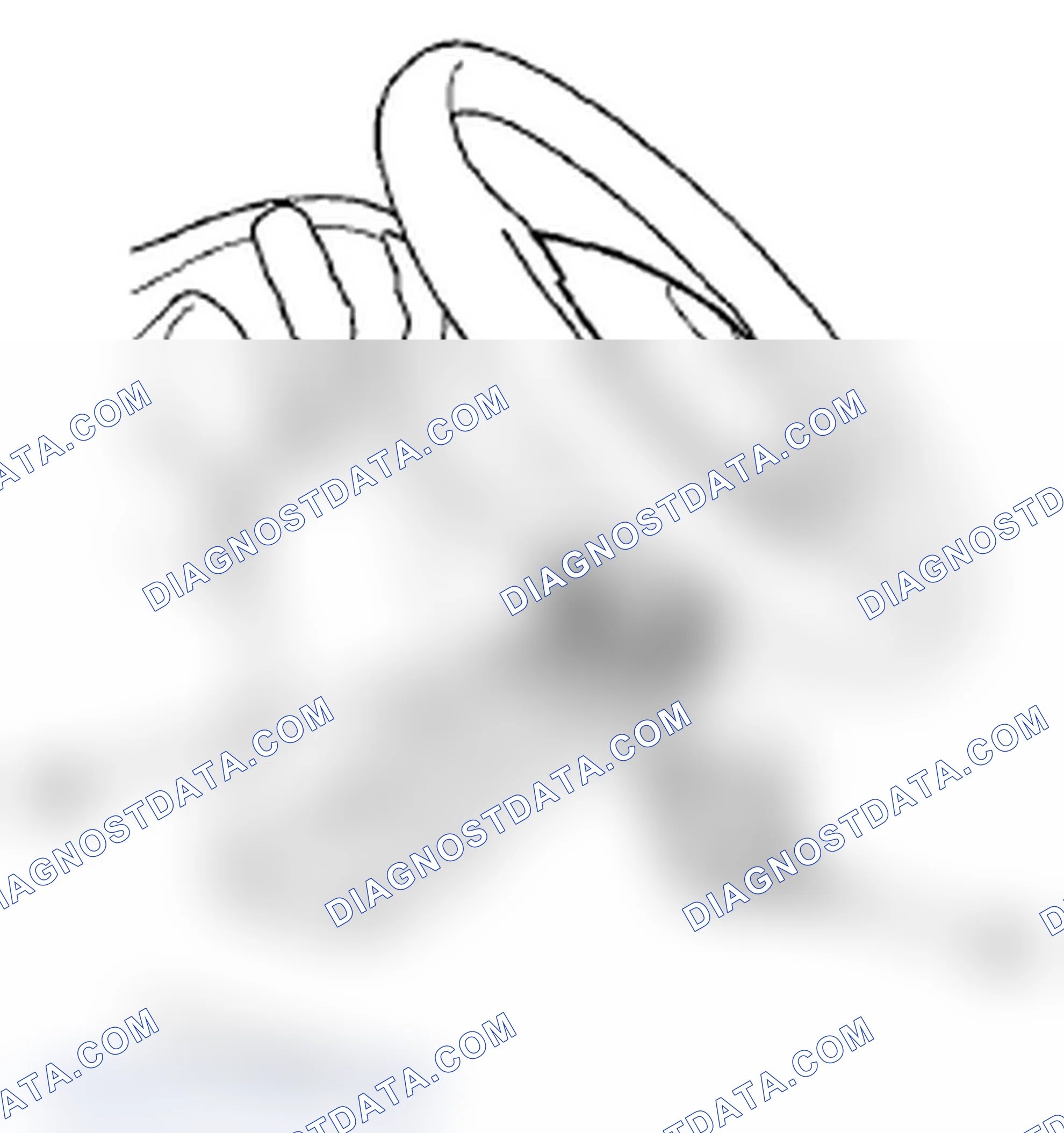 Scheme 203: Driver's Airbag