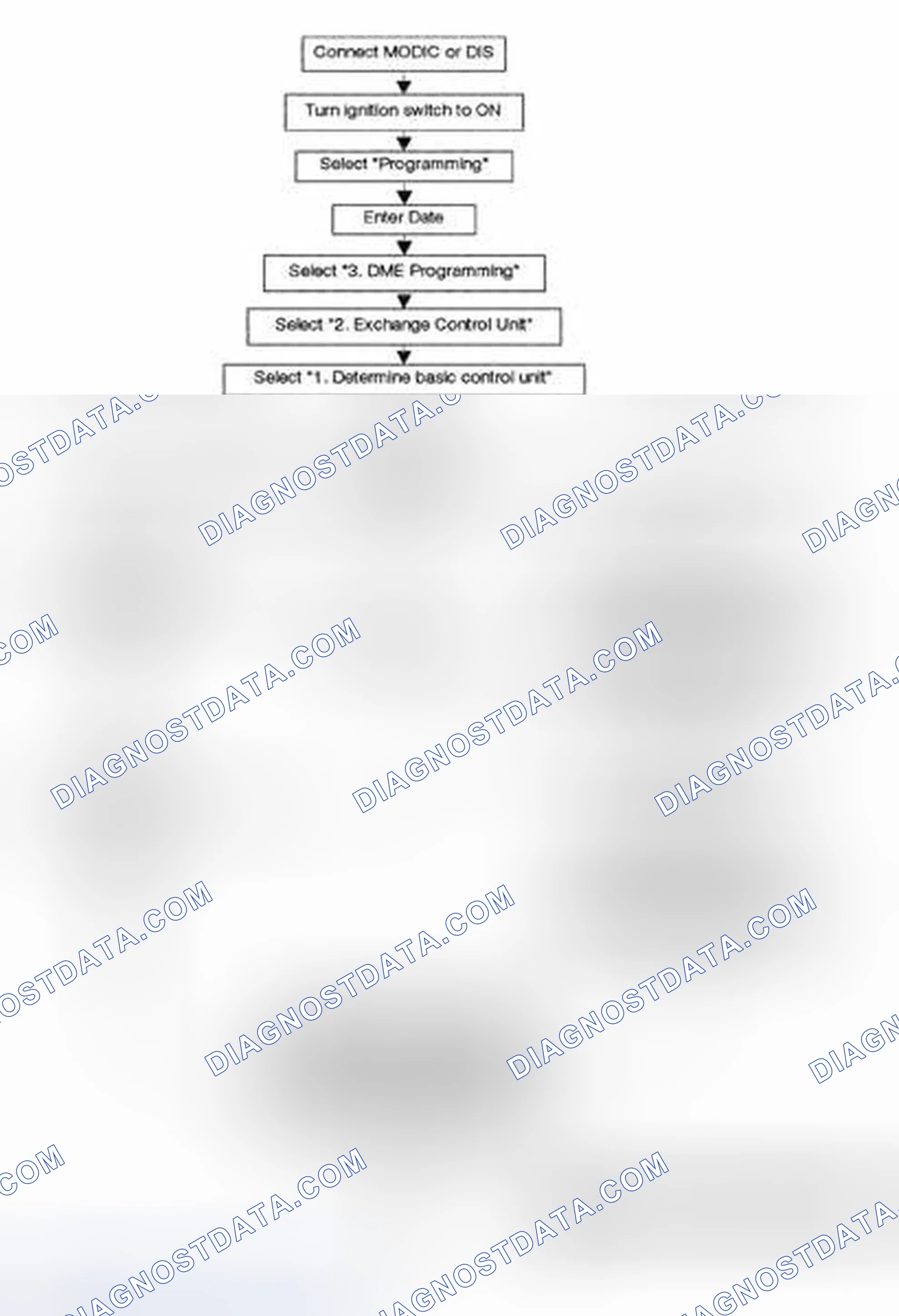 Scheme 225: Procedure for Flash Programming a Control Unit.