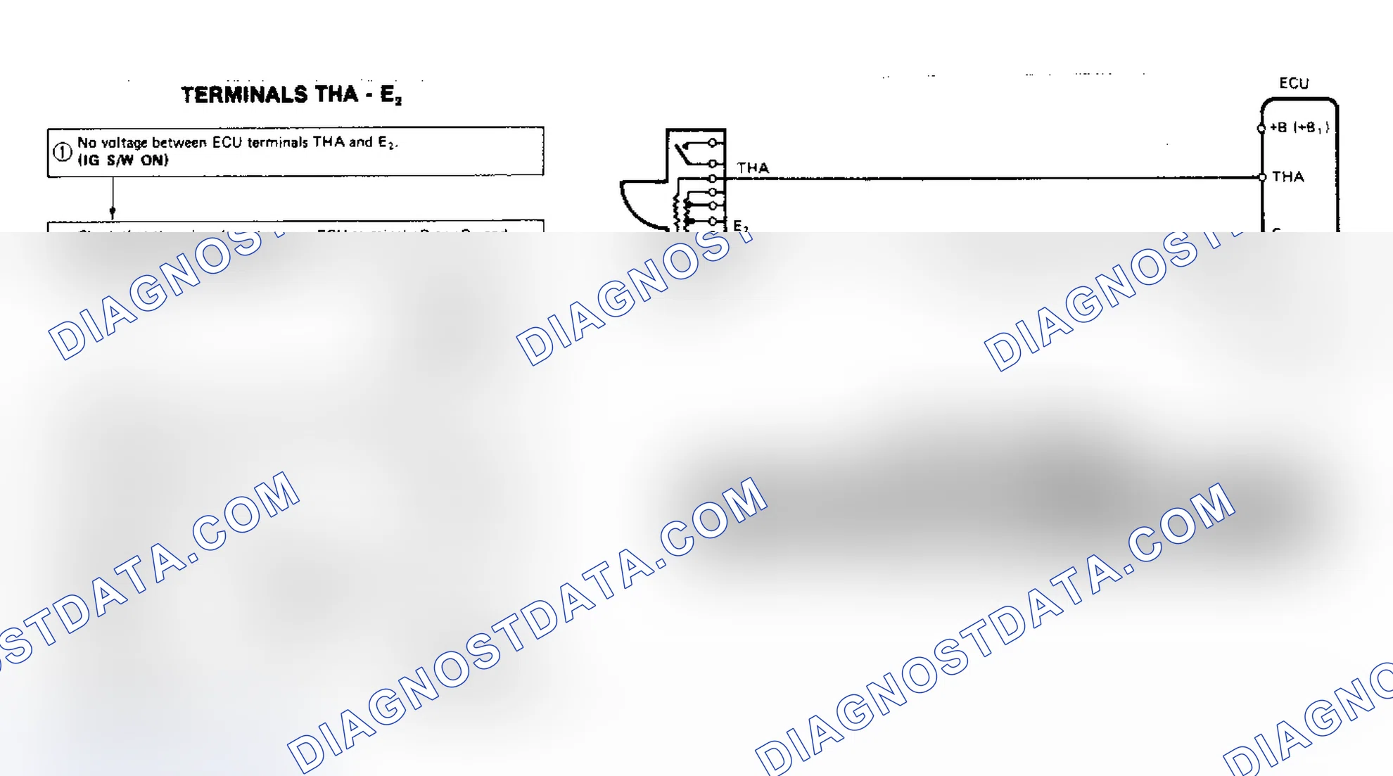 Scheme 75: Terminals THA - E2