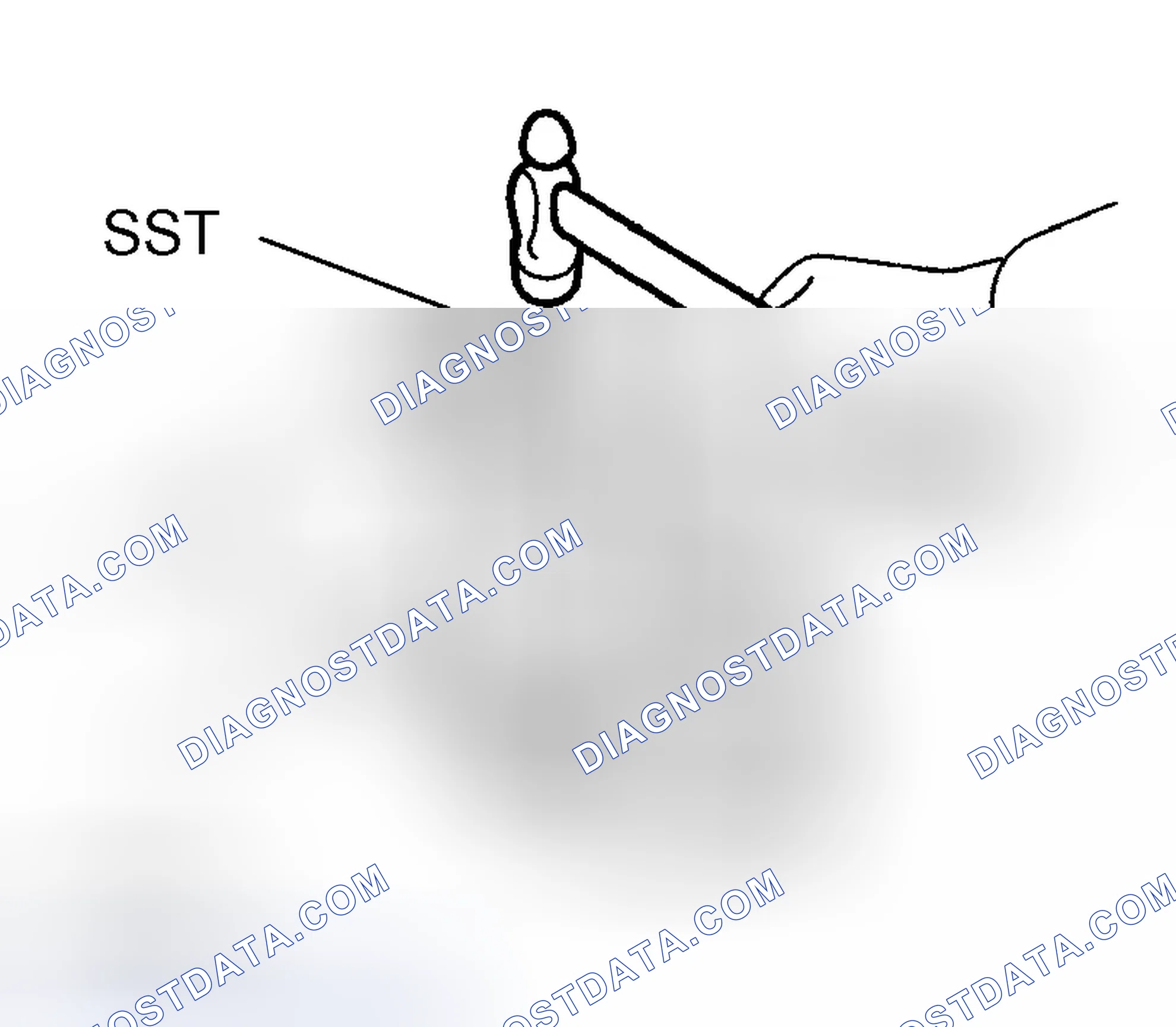 Scheme 658