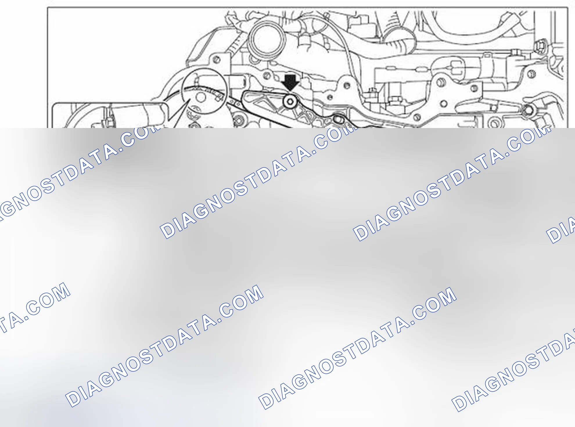 Scheme 205