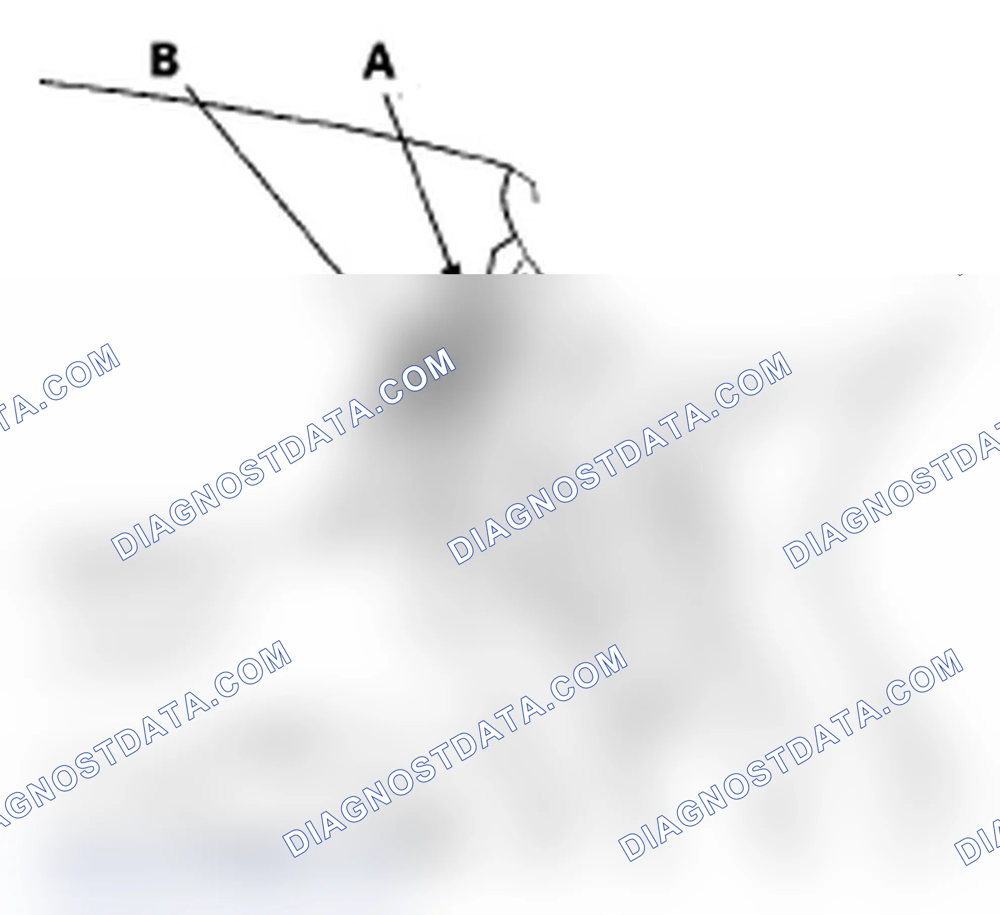 Scheme 70: Rear Window Replacement