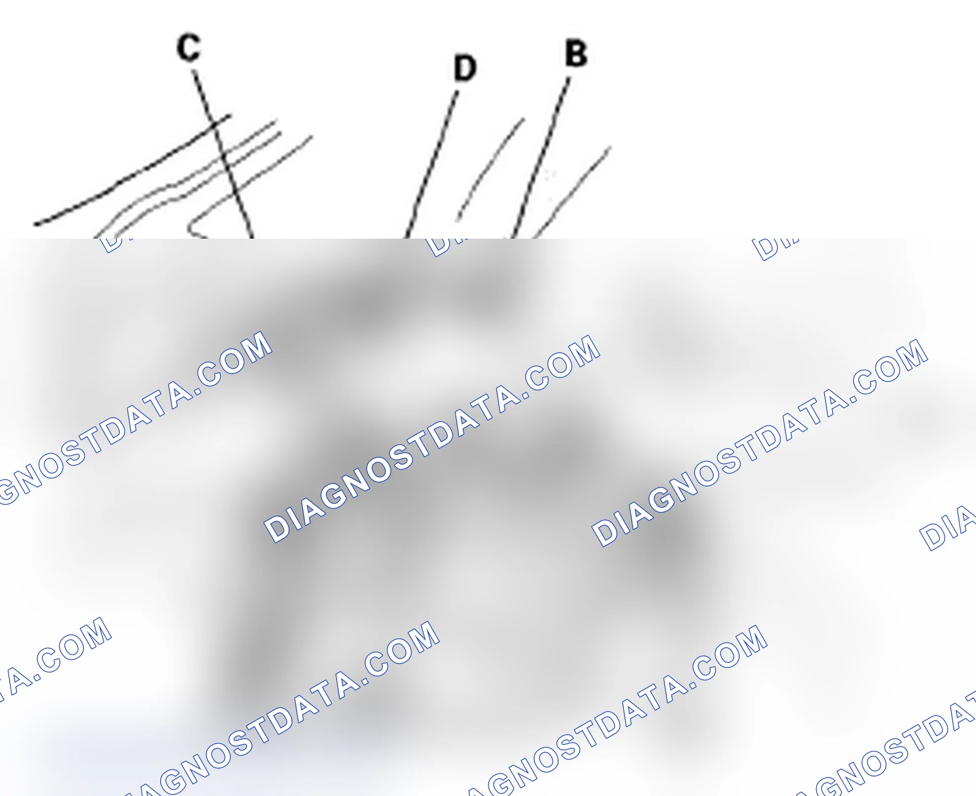 Scheme 107