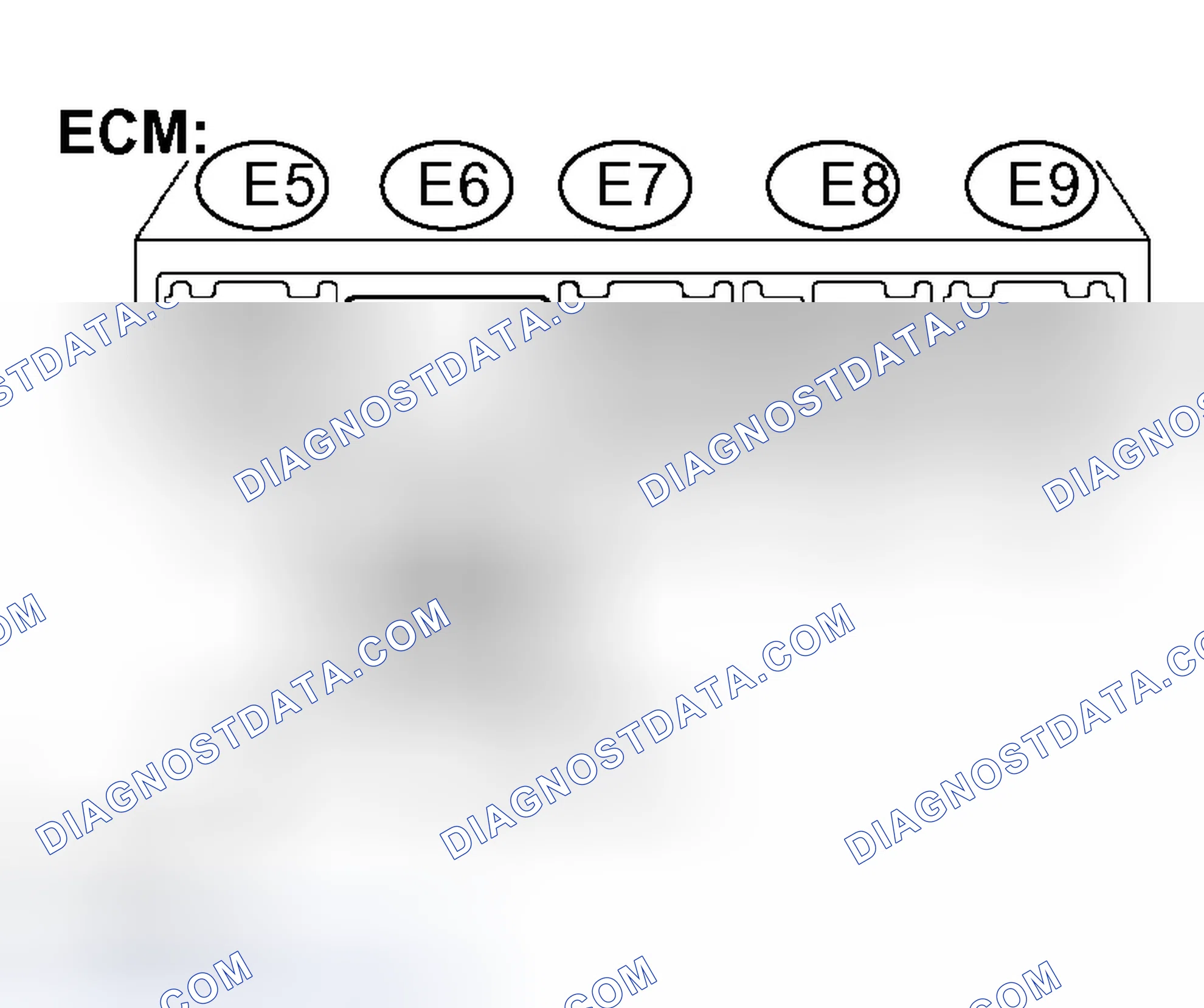 Scheme 262