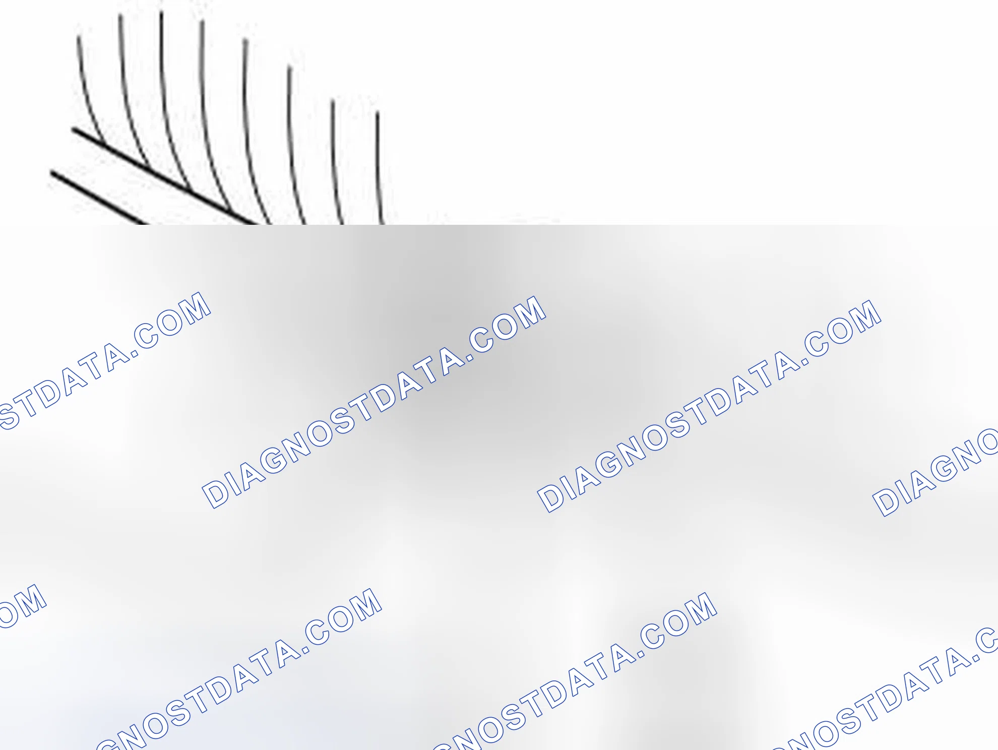 Scheme 167: Removing Outer Clips