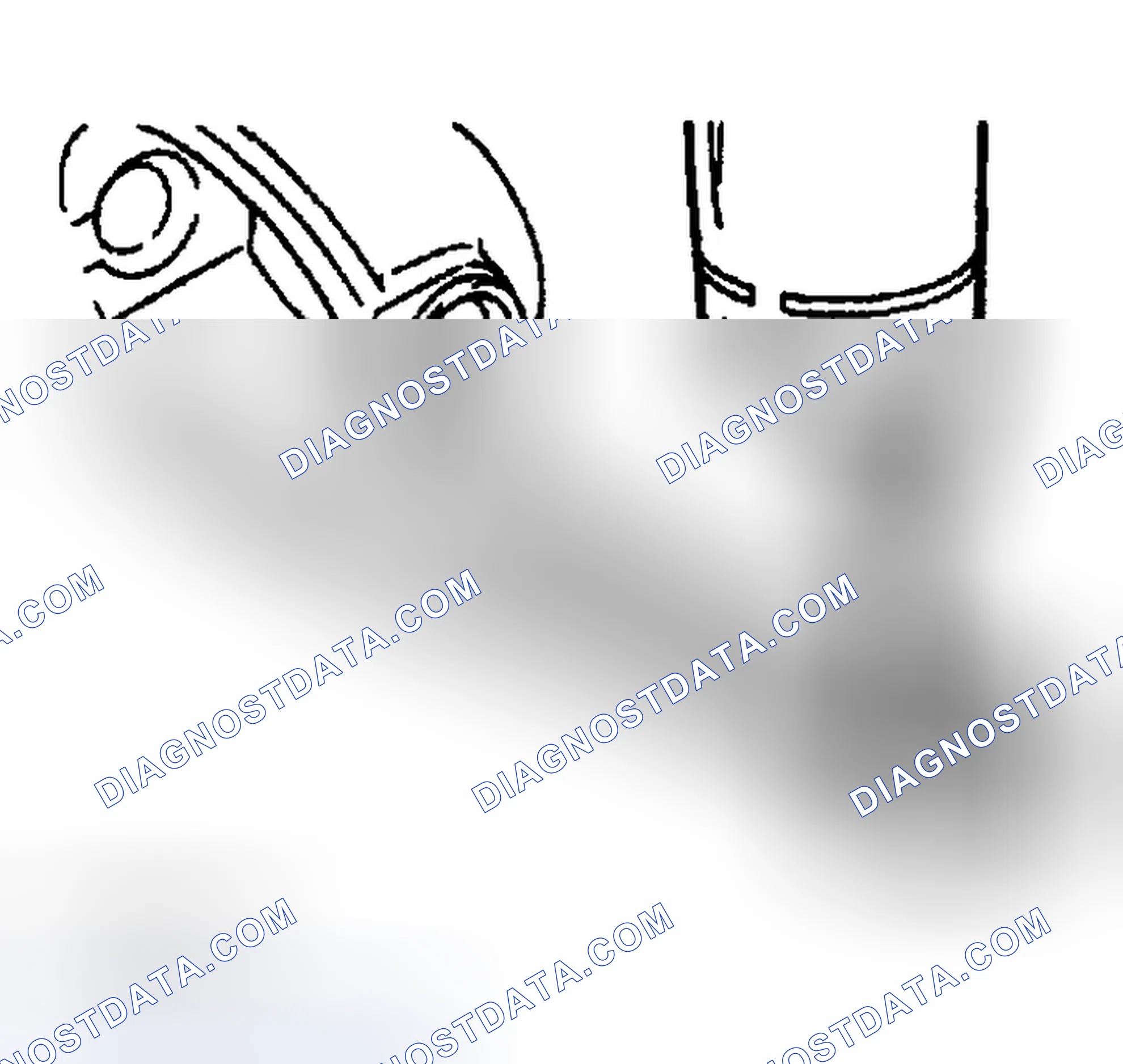 Scheme 29: Differential Mount Disassembly Note