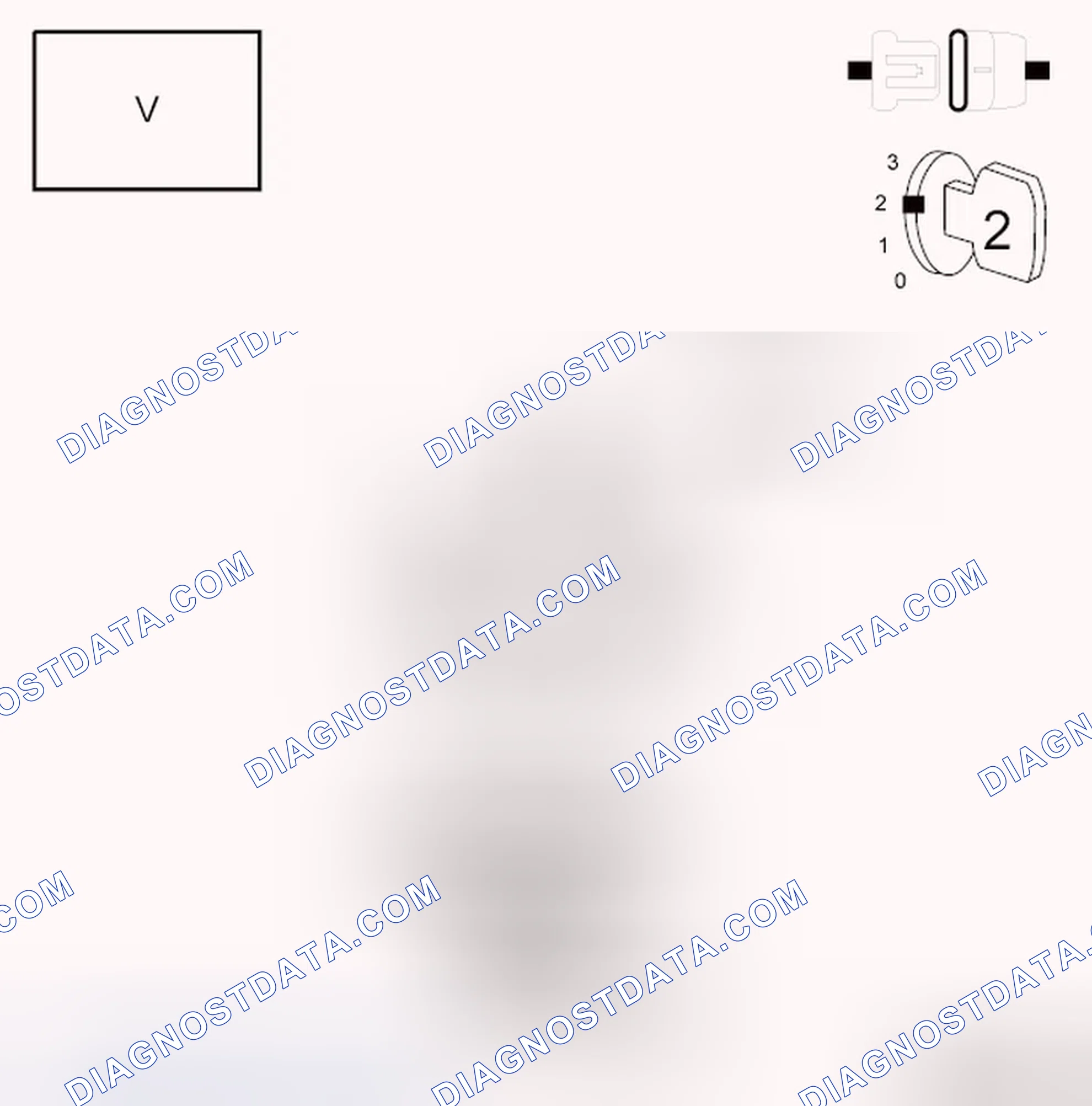 Scheme 53: Diagnostic Test