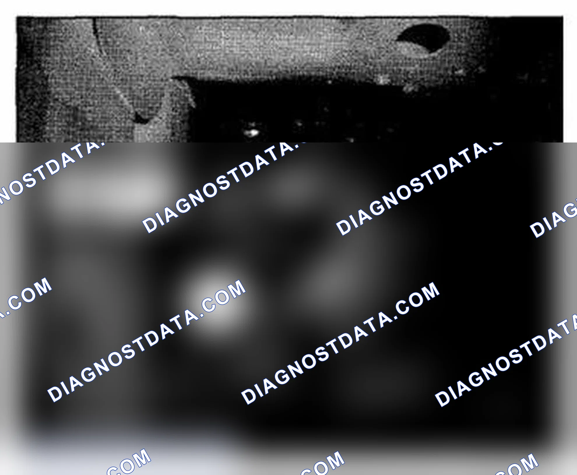 Scheme 409: Behind Left Side Of Front Bumper Component Location (Photo 4)