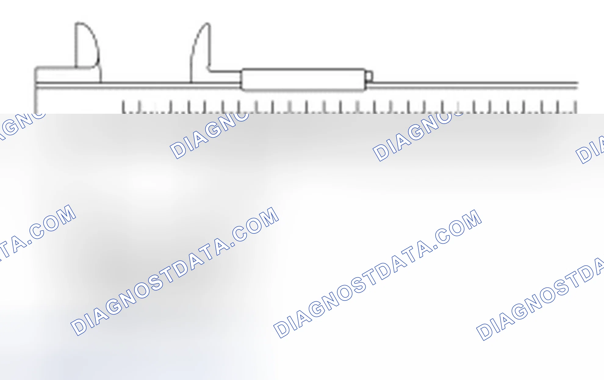 Scheme 337
