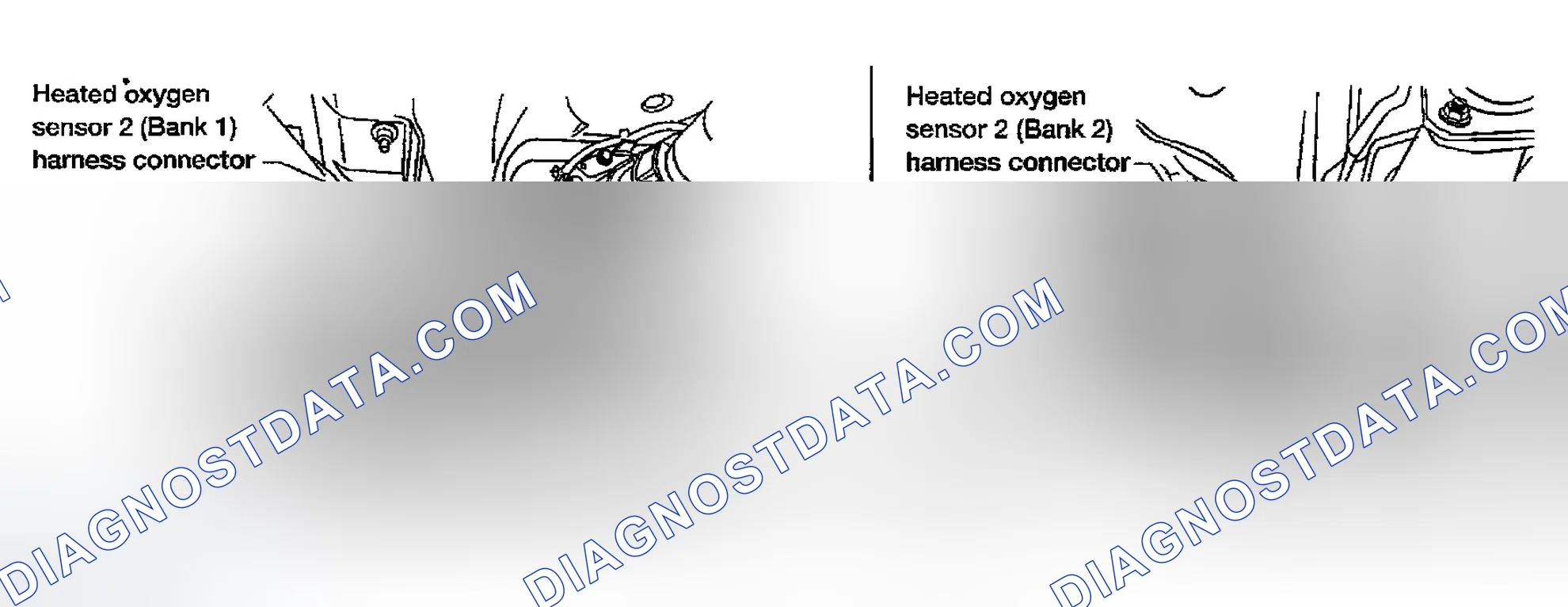 Scheme 653: Diagnostic Procedure