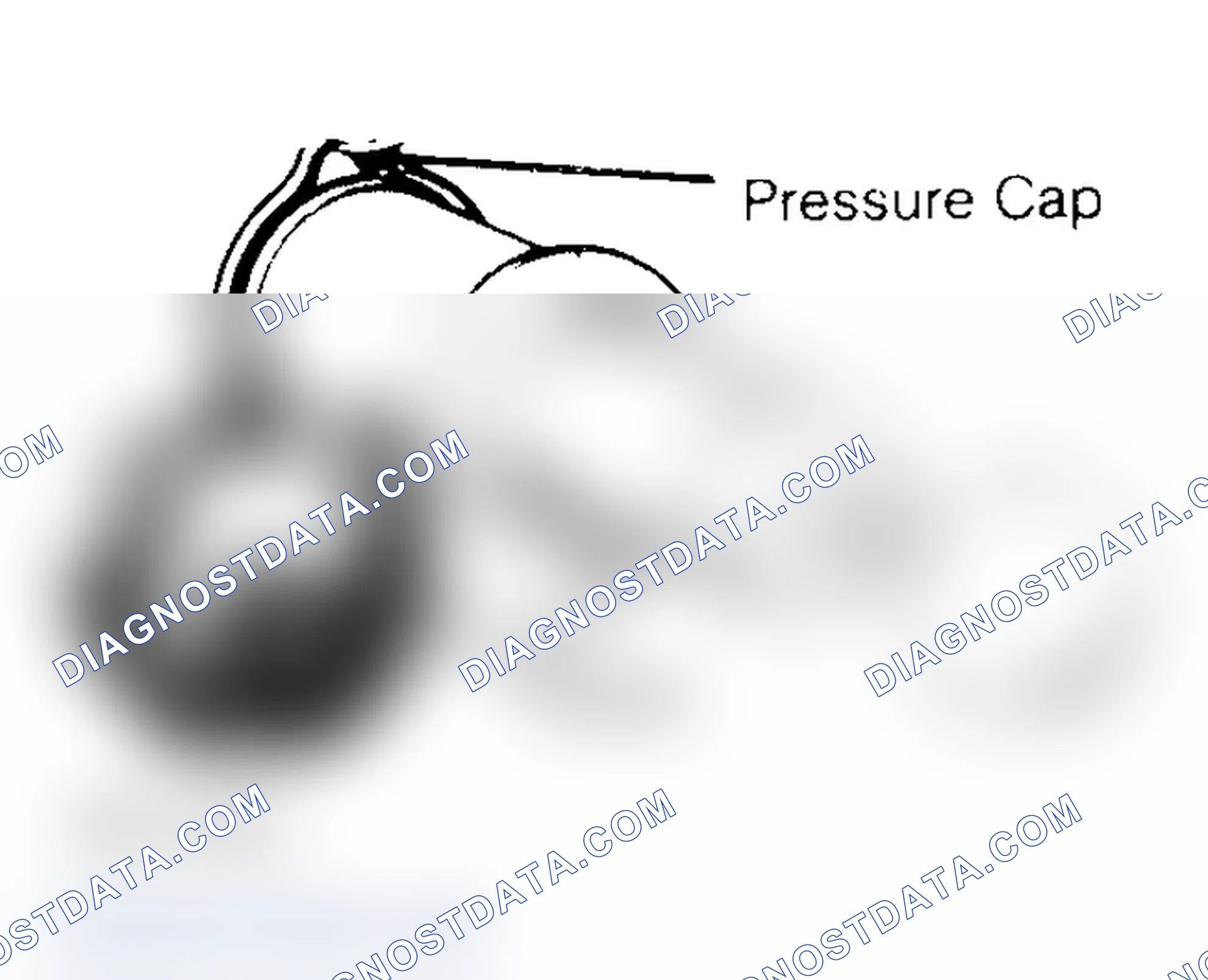 Scheme 2: Pressure Testing Radiator Cap