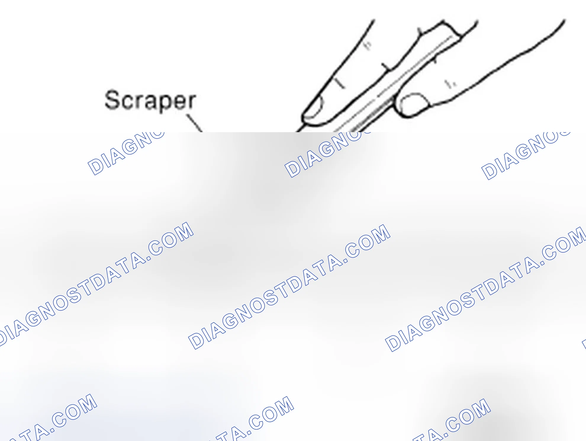 Scheme 2: LIQUID GASKET APPLICATION PROCEDURE