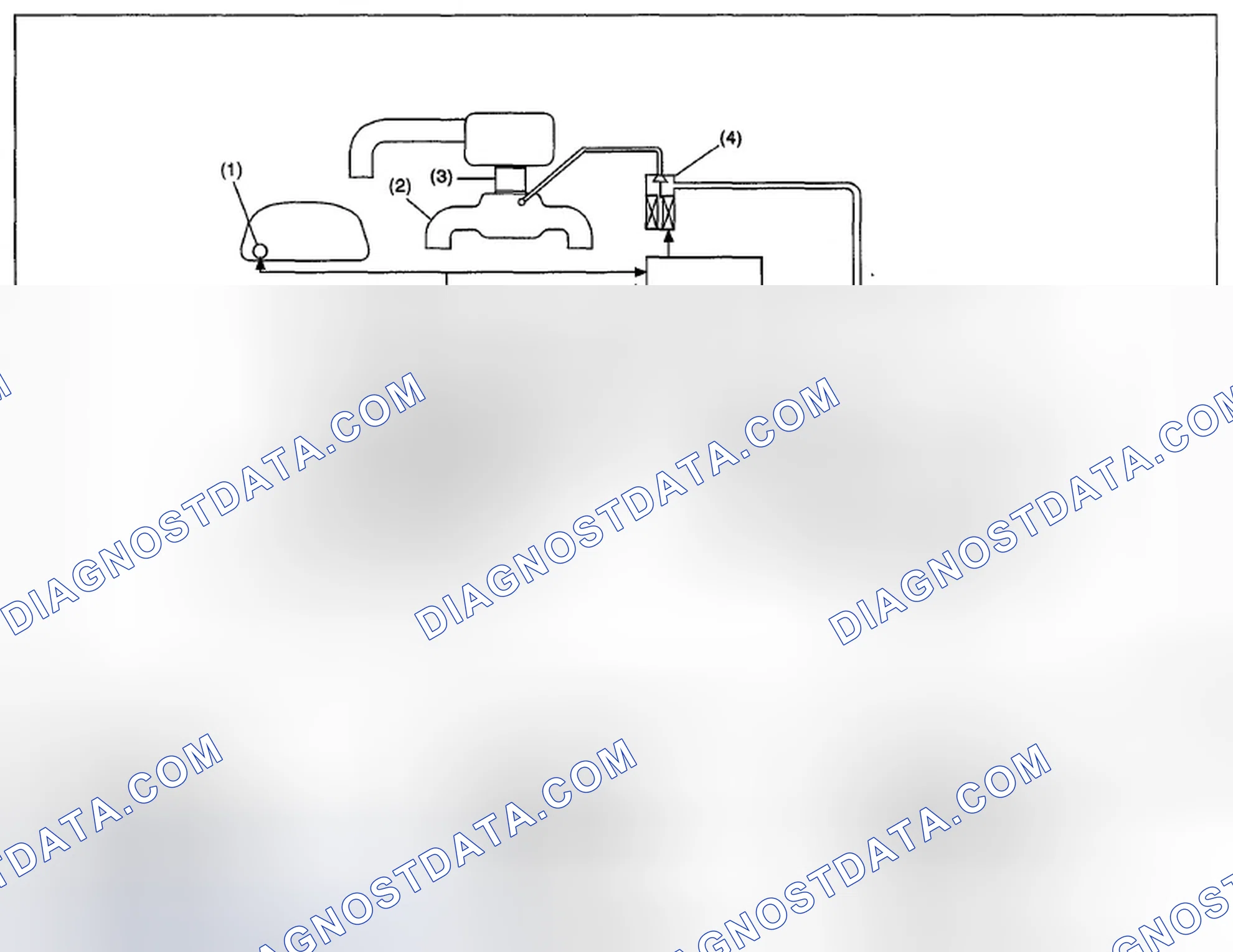 Scheme 245: OUTLINE OF DIAGNOSIS