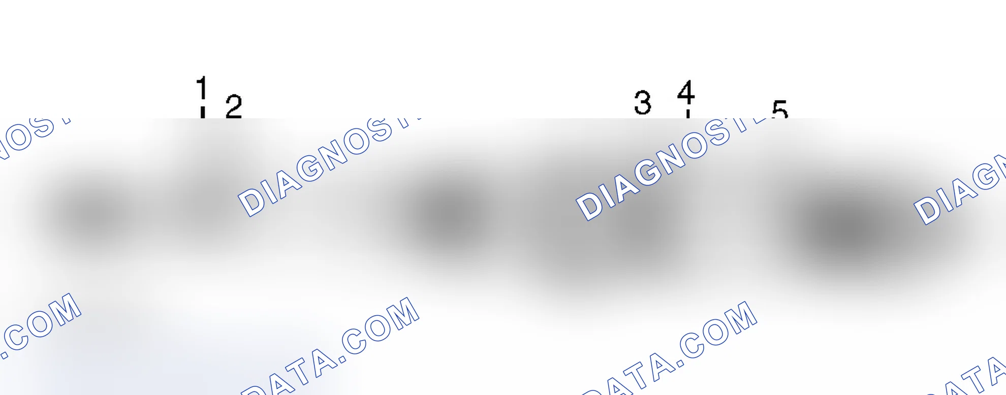 Scheme 27