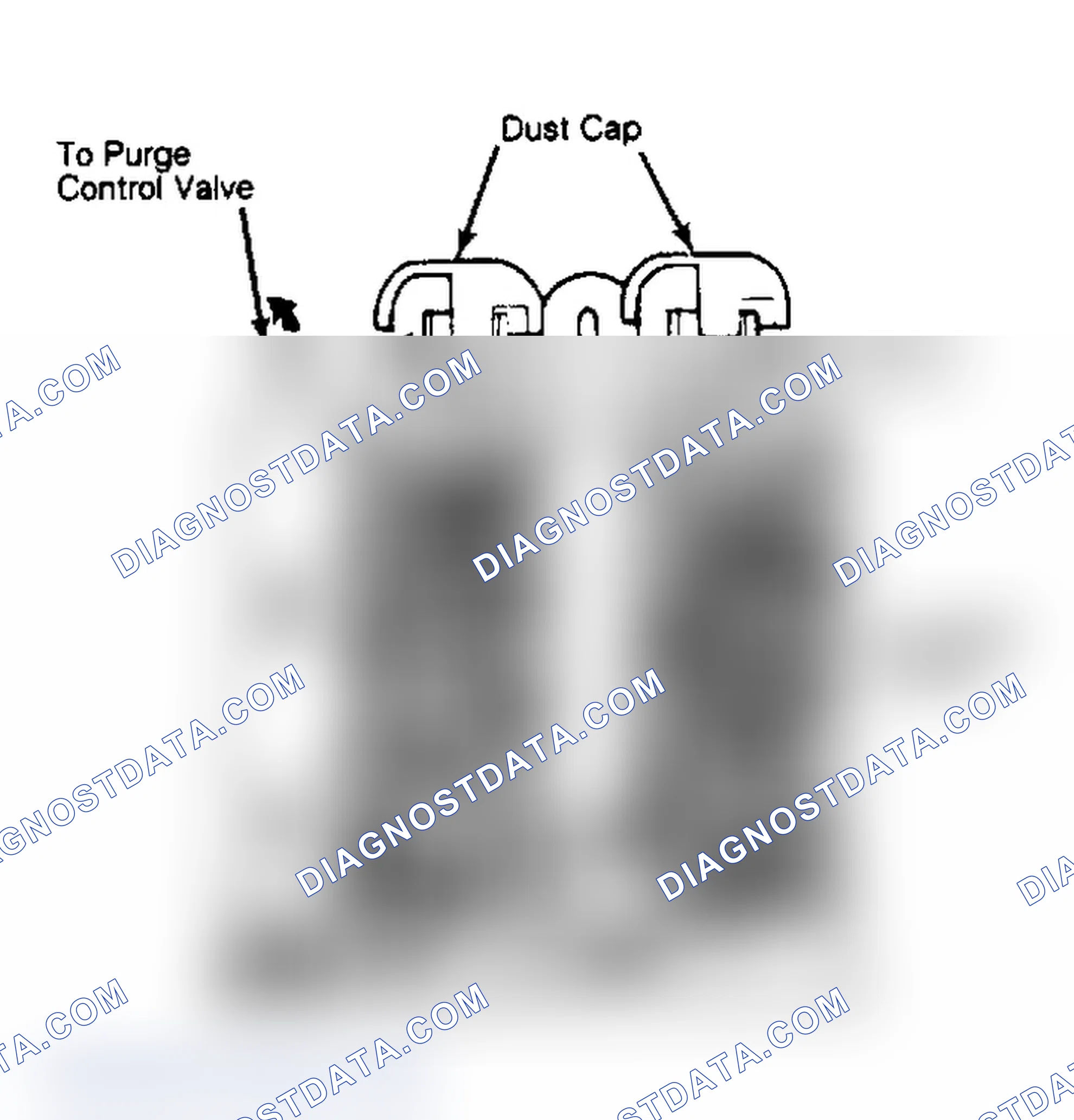 Scheme 36: Purge Control Valve & Carbon Canister