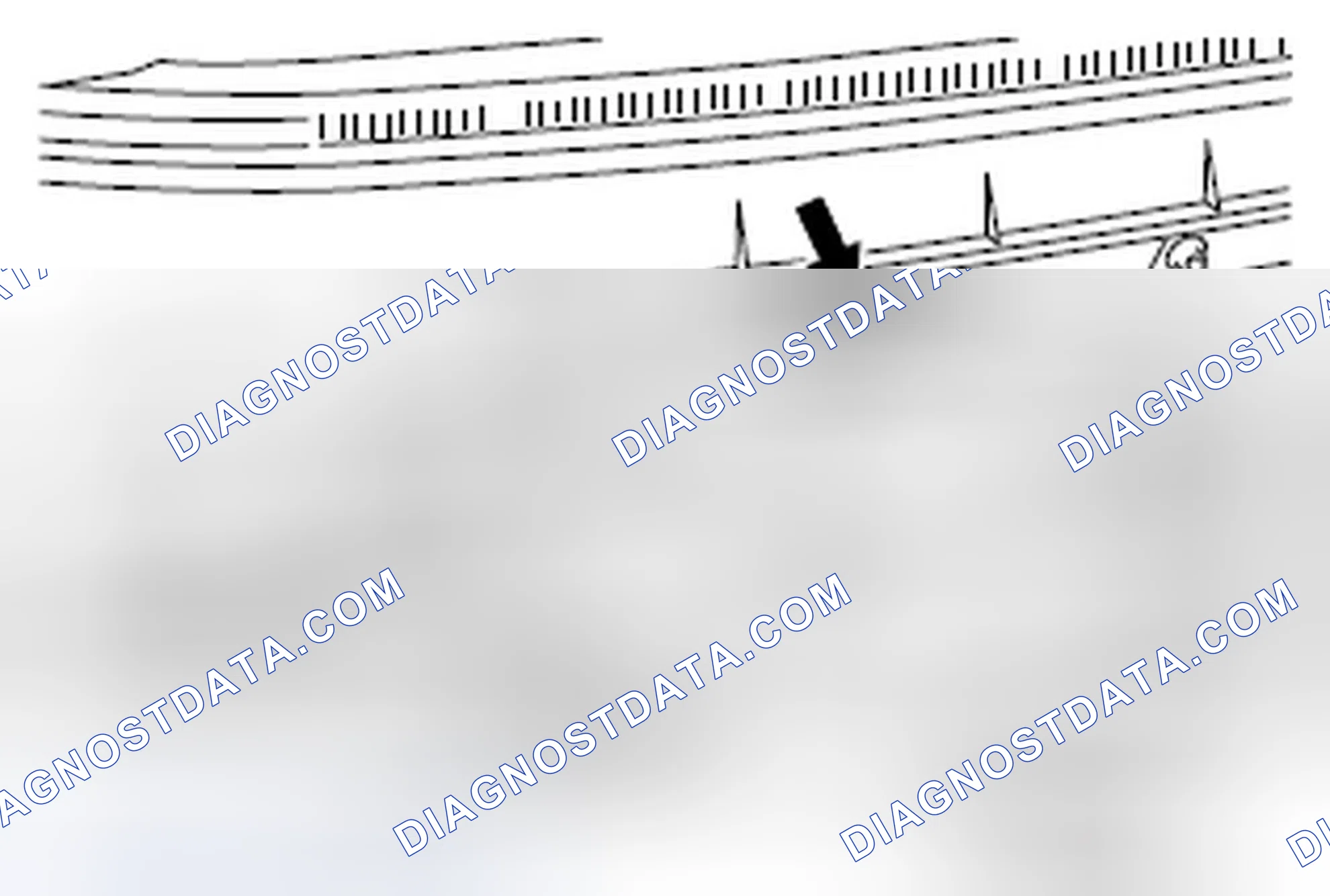 Scheme 5: VEHICLE IDENTIFICATION NUMBER (CHASSIS NUMBER)