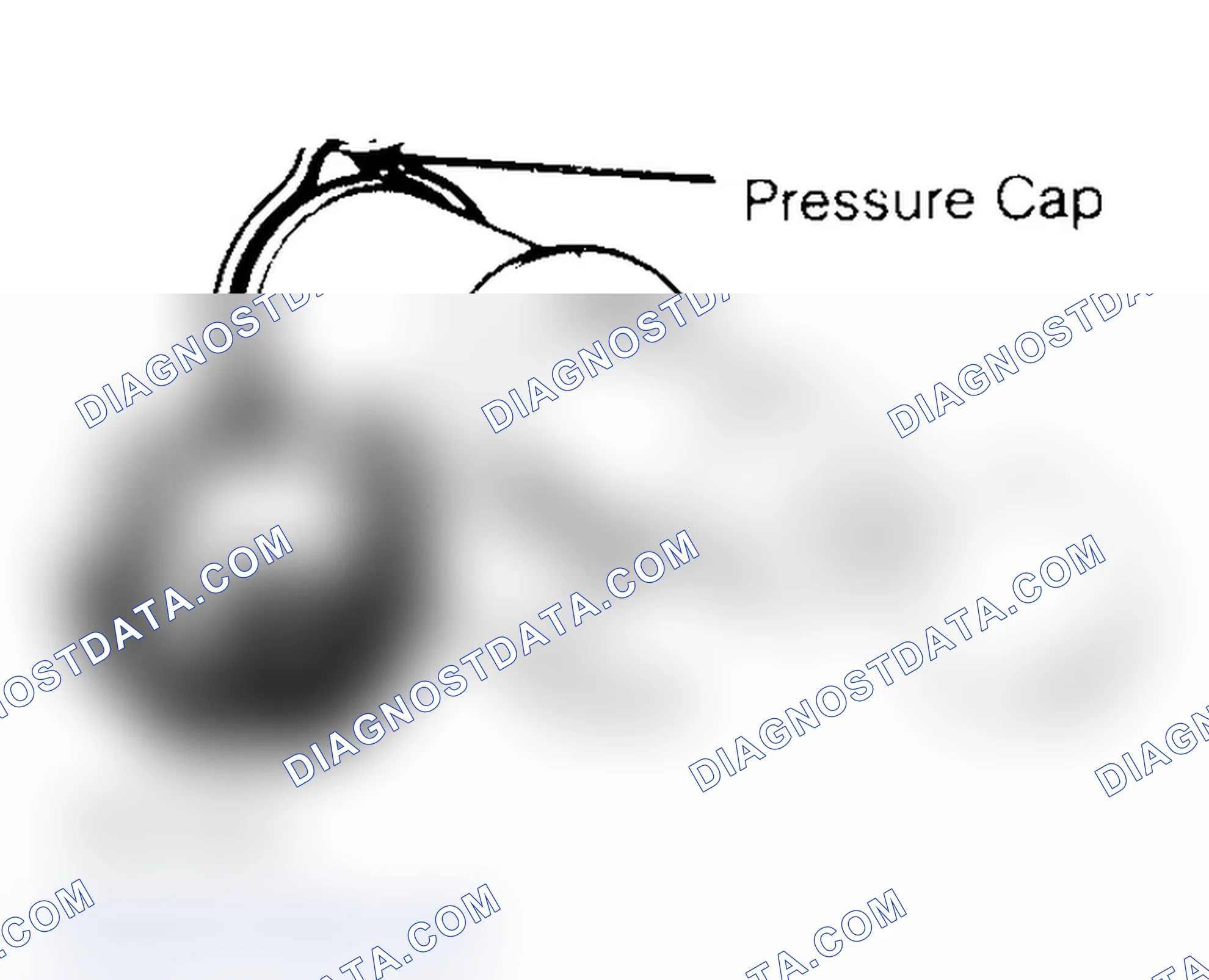 Scheme 2: Pressure Testing Radiator Cap