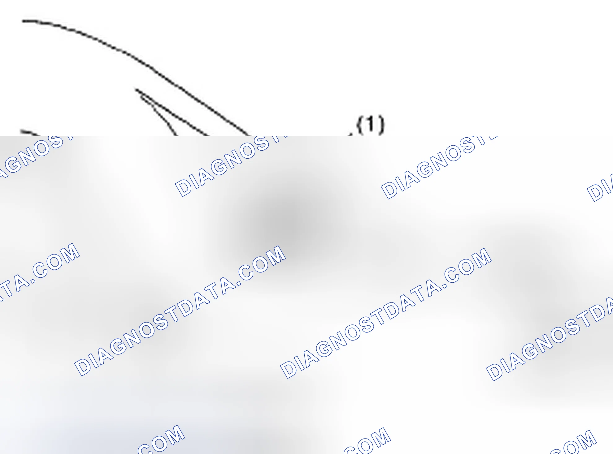 Scheme 5: Identifying Rear Differential Type (White Paint)