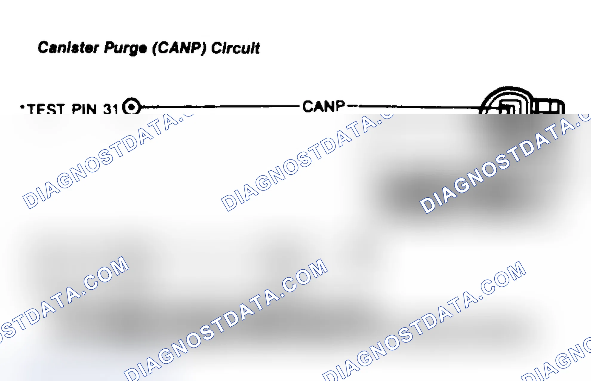 Scheme 32: Canister Purge (CANP) Circuit