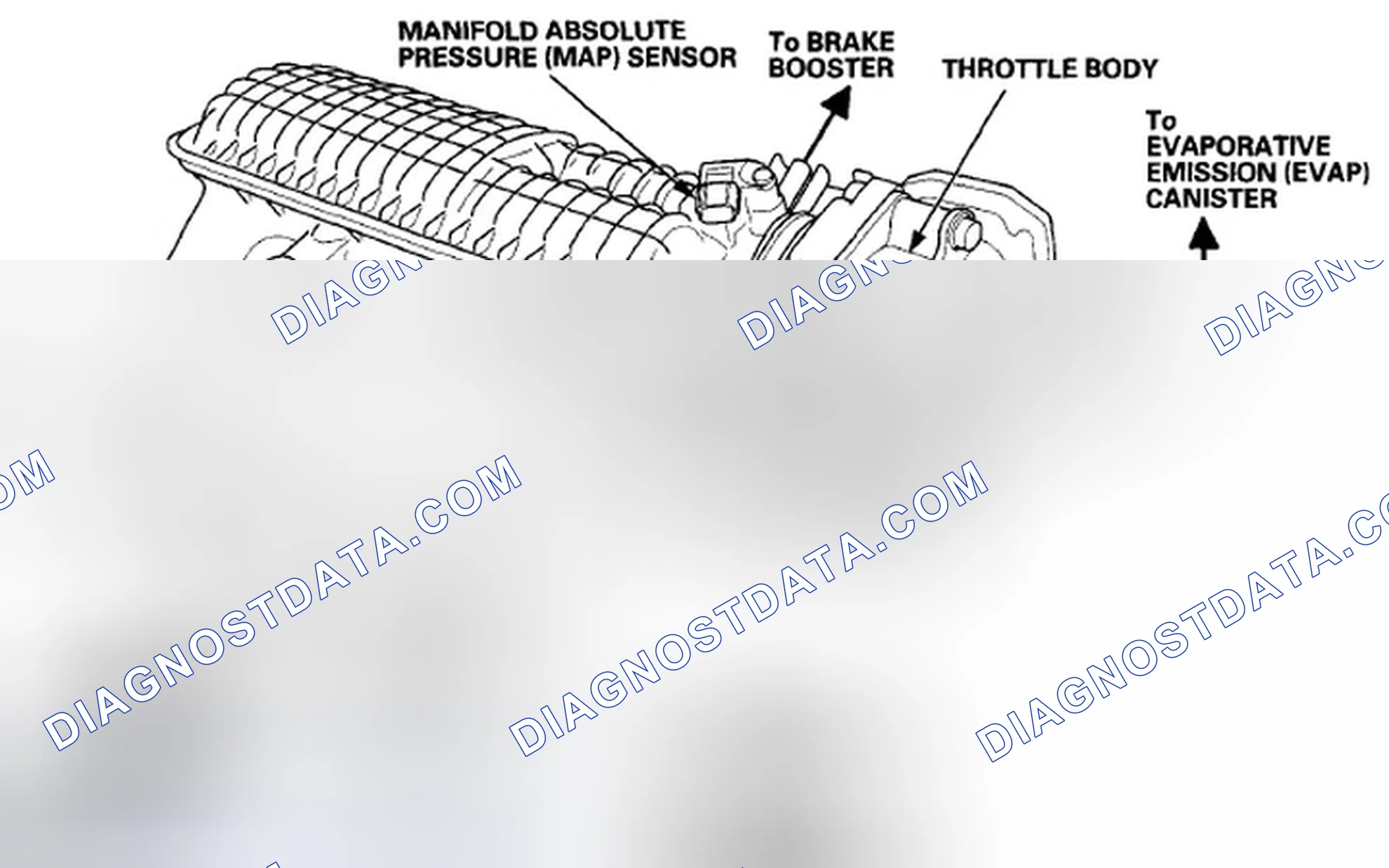Scheme 614: Vacuum Hose Routing