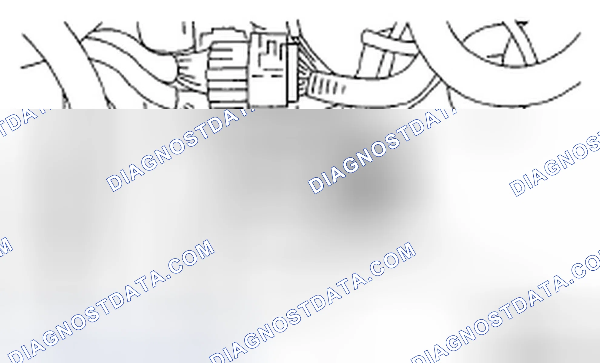 Scheme 316