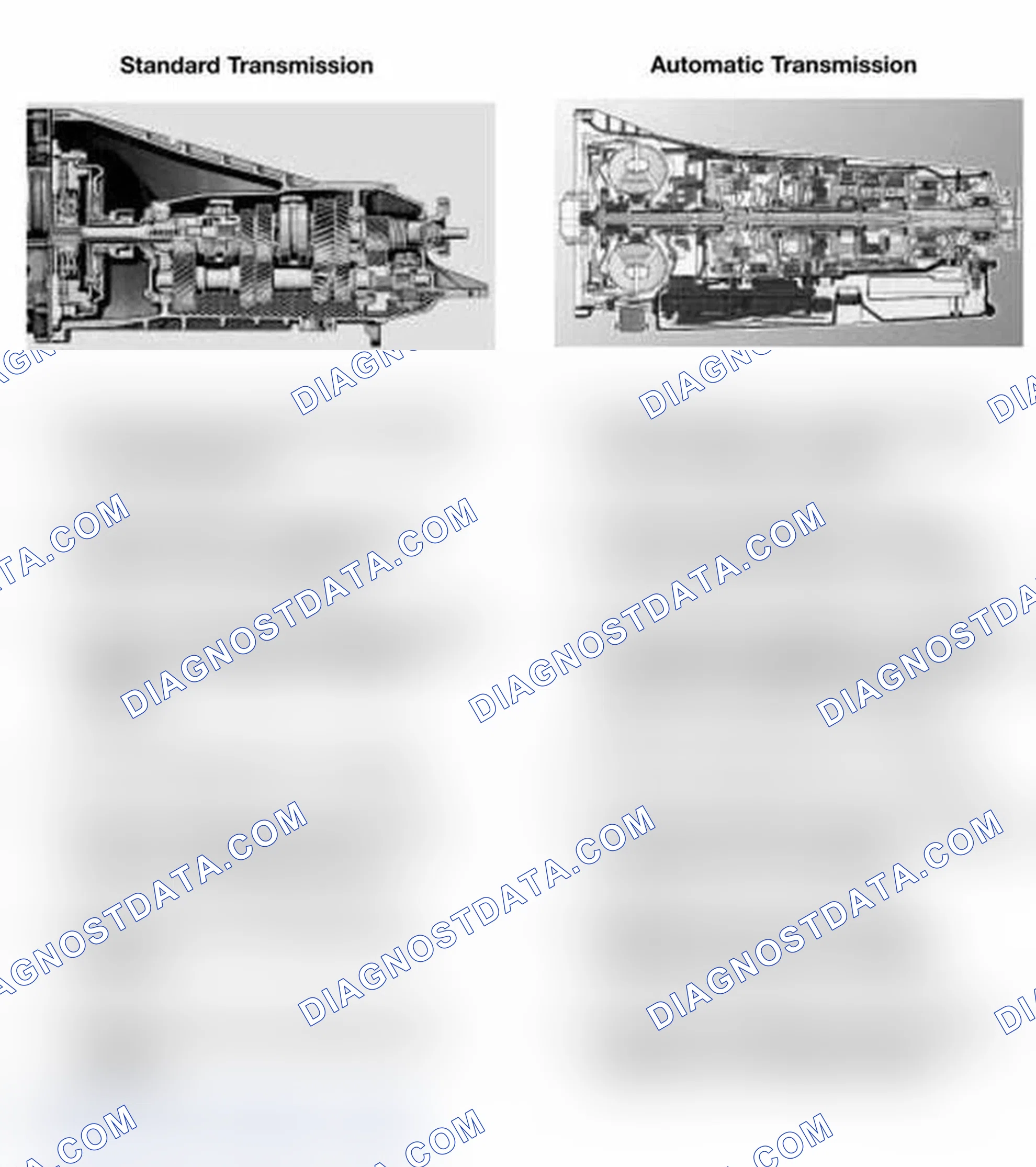 Scheme 1: STANDARD/AUTOMATIC TRANSMISSION
