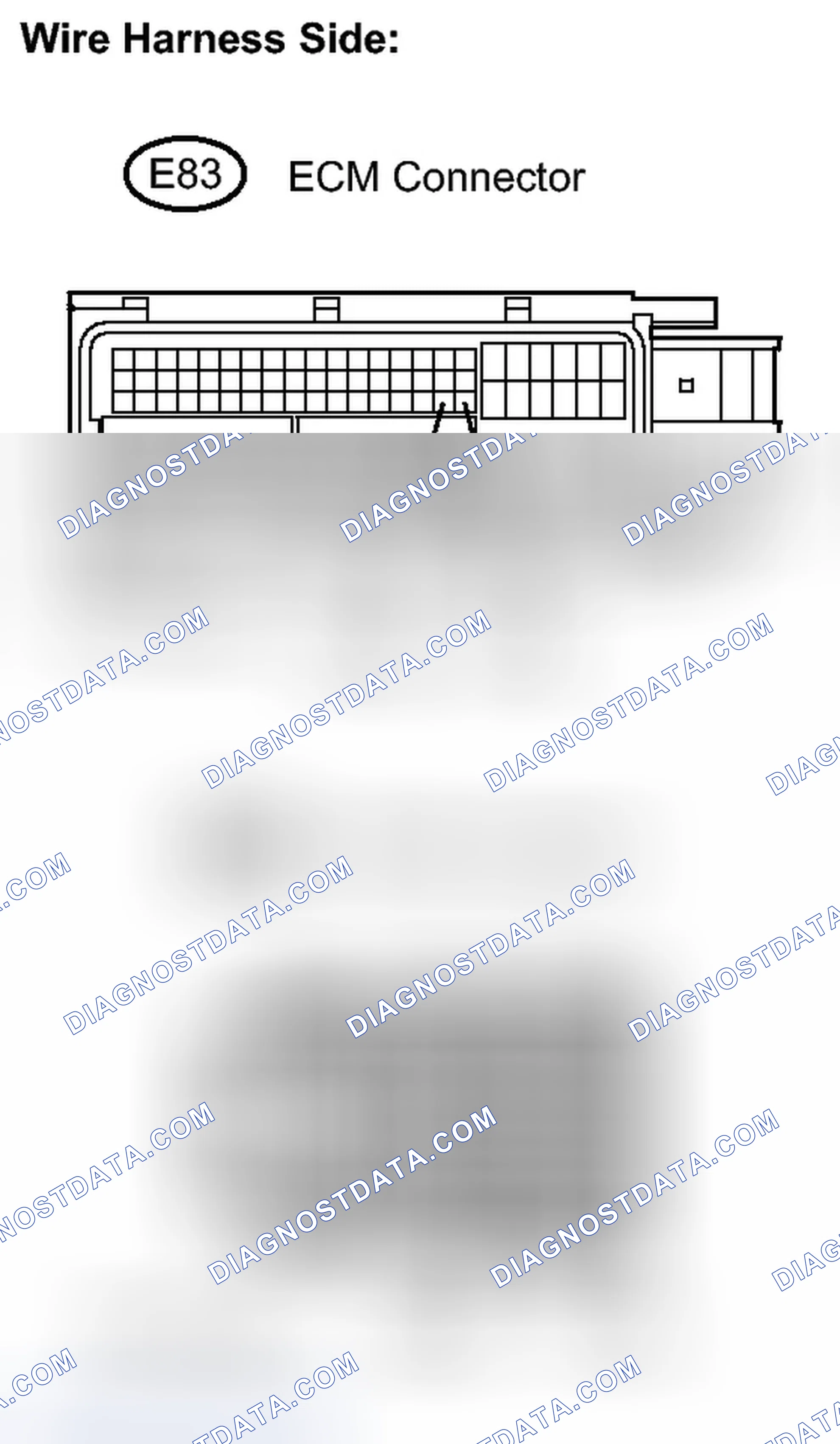 Scheme 217