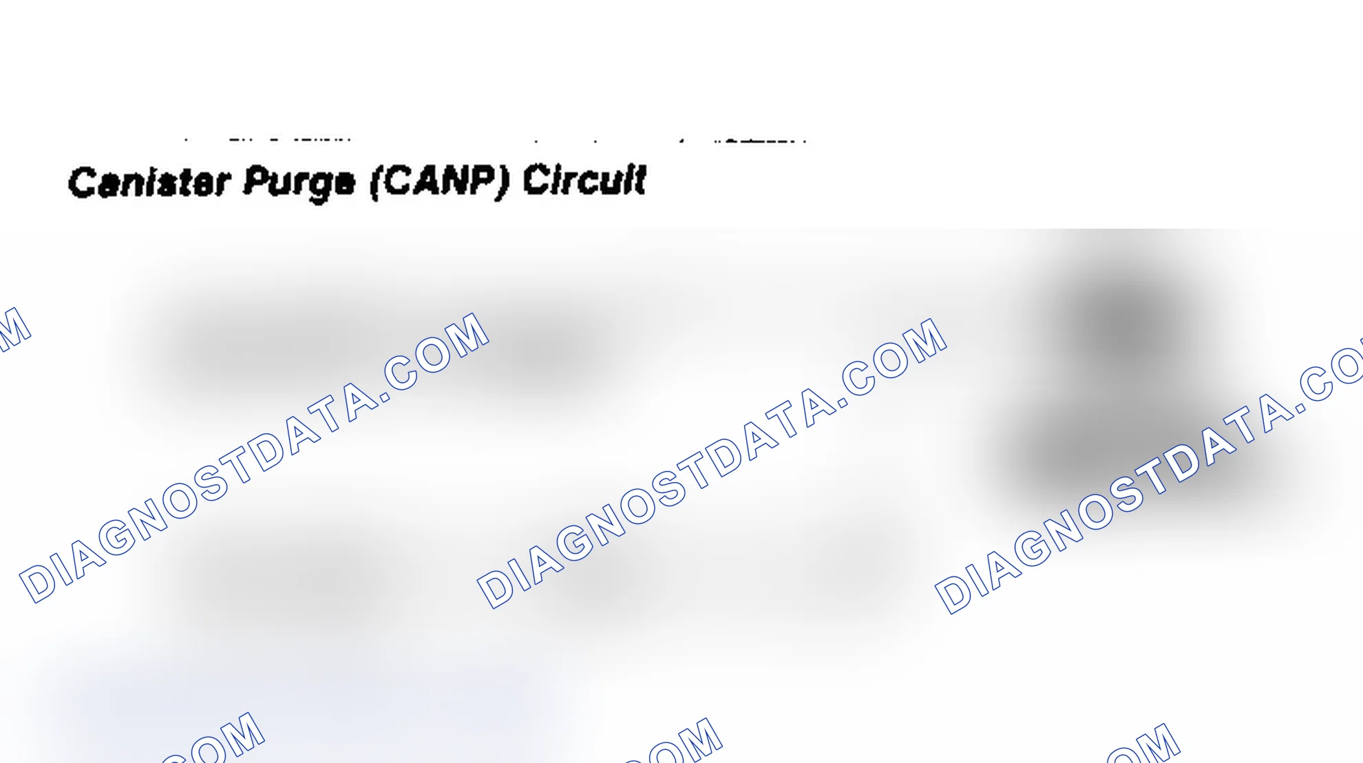 Scheme 79: Canister Purge (CANP) Circuit