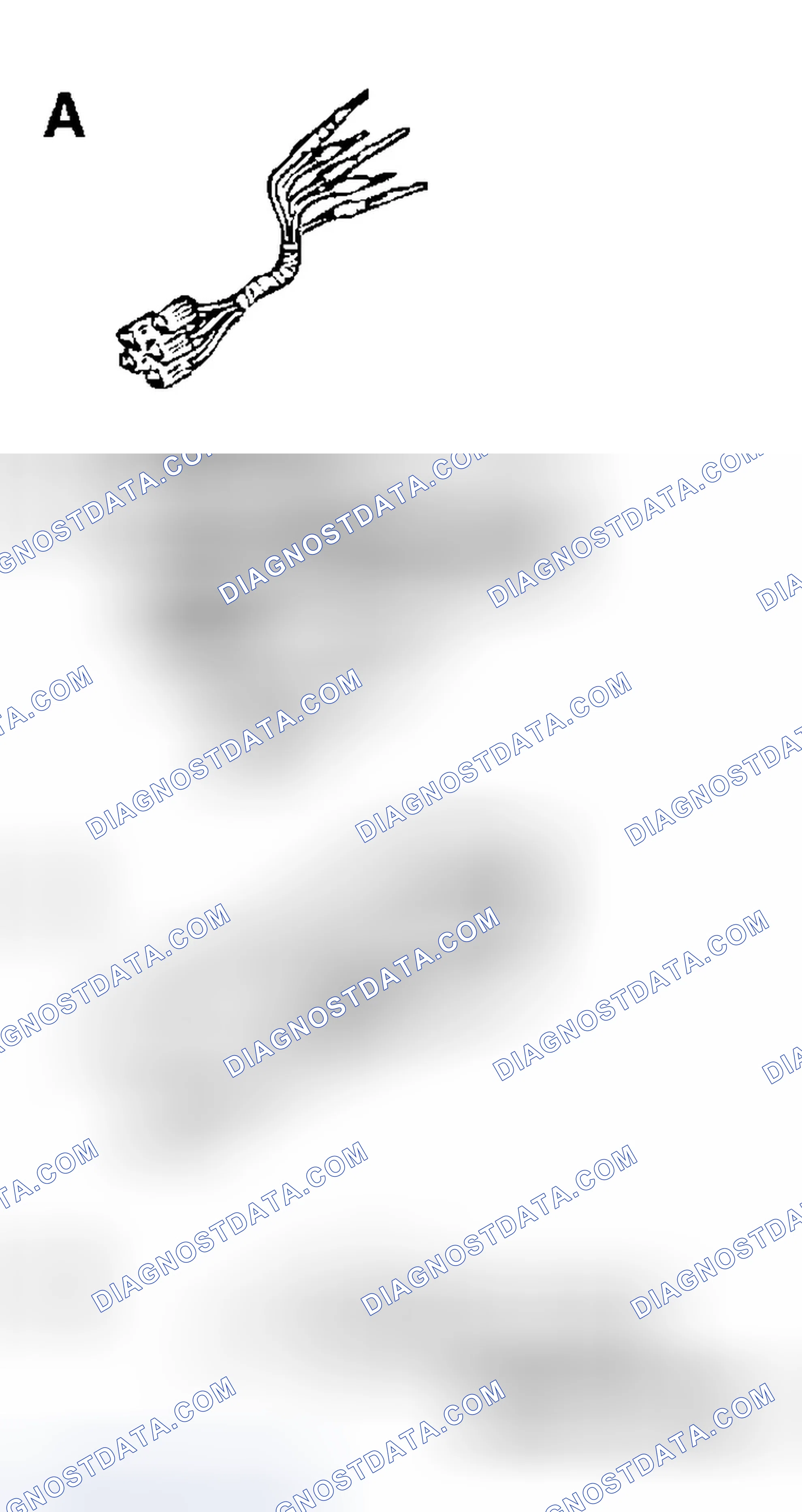 Scheme 239