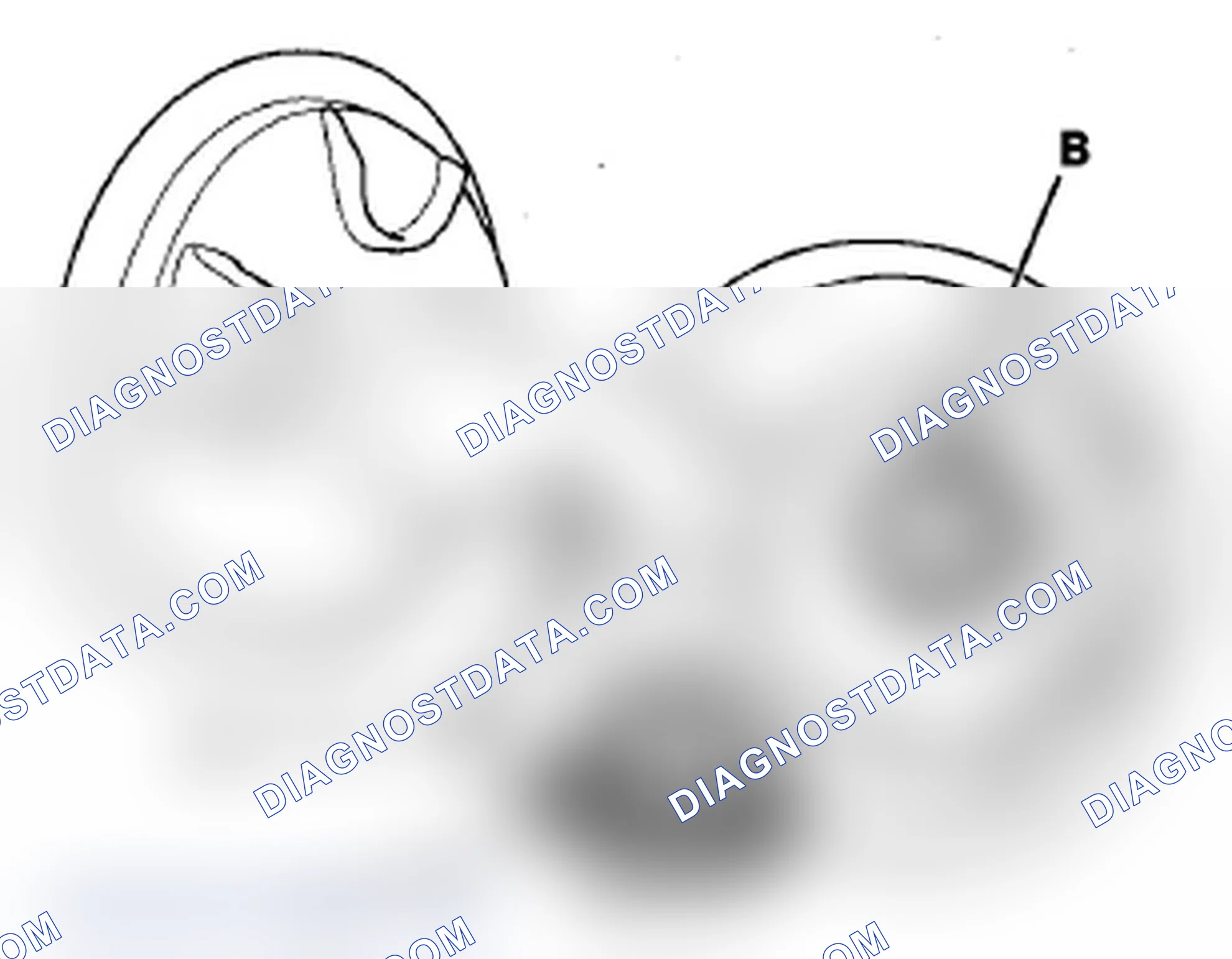 Scheme 39: DTC P0455: EVAP System Large Leak Detected; DTC P0456: EVAP System Very Small Leak Detected
